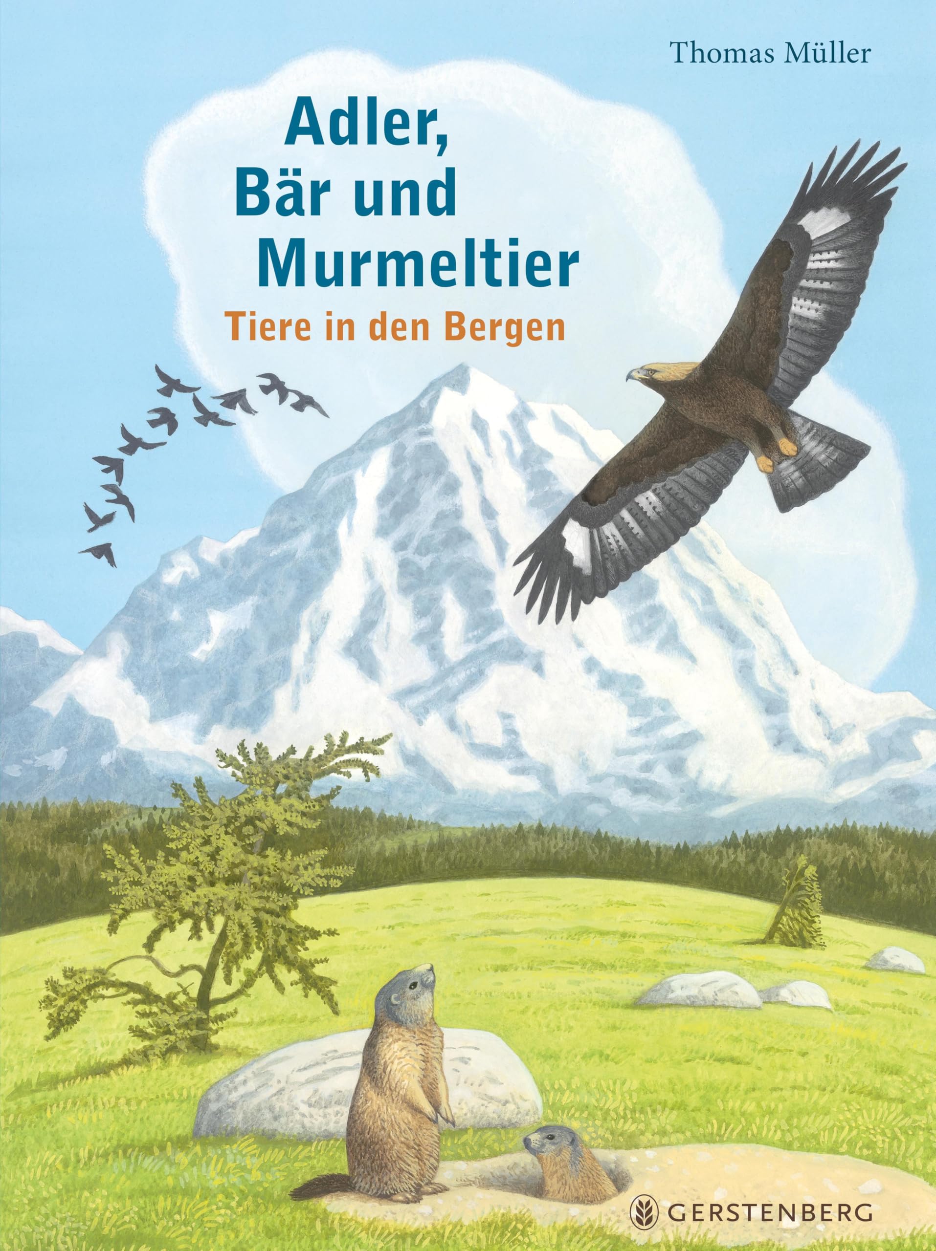 Adler, Bär und Murmeltier Business & Technology