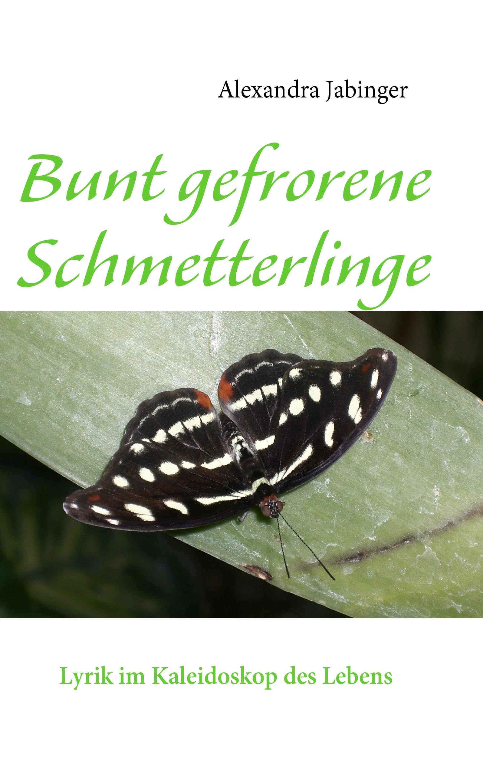 Product Image: Bunt gefrorene Schmetterlinge