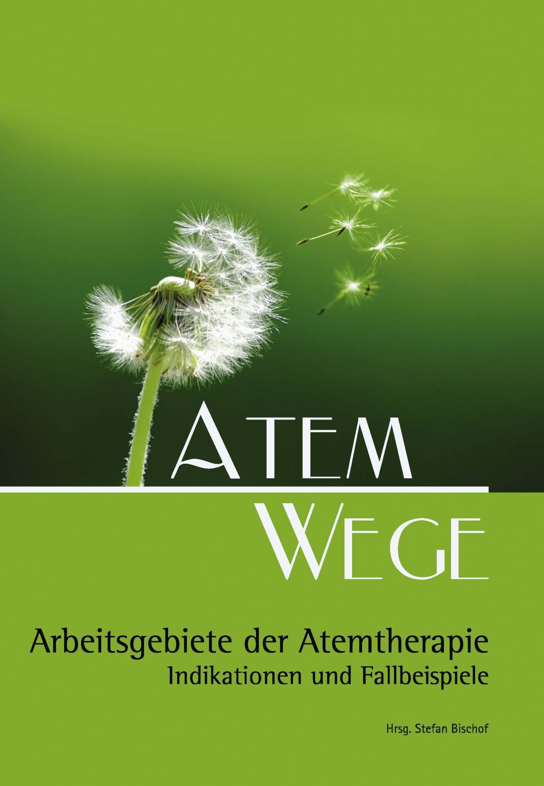 Atem Wege: Arbeitsgebiete der Atemtherapie book