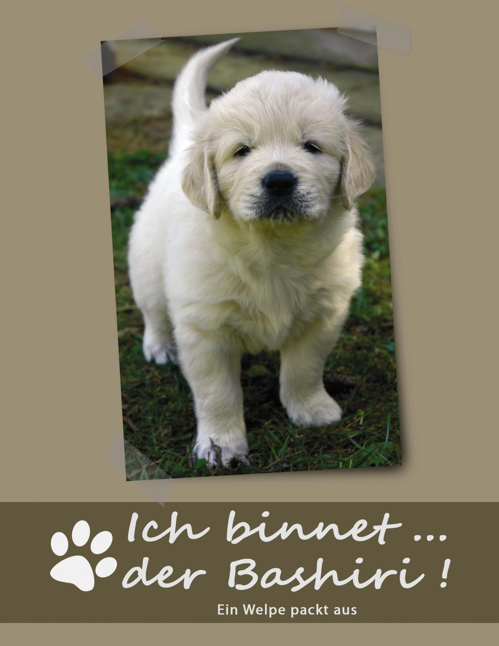 Ich binnet ... der Bashiri! Contemporary literature Books