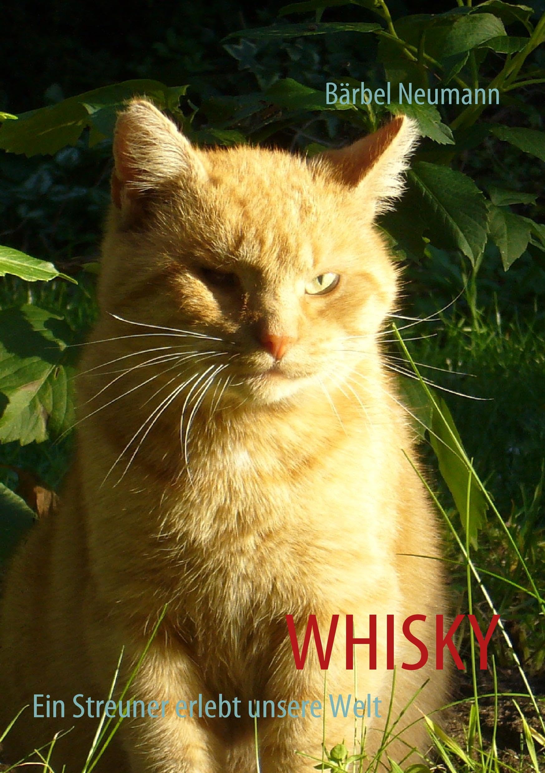 WHISKY: Ein Streuner erlebt unsere Welt Contemporary literature