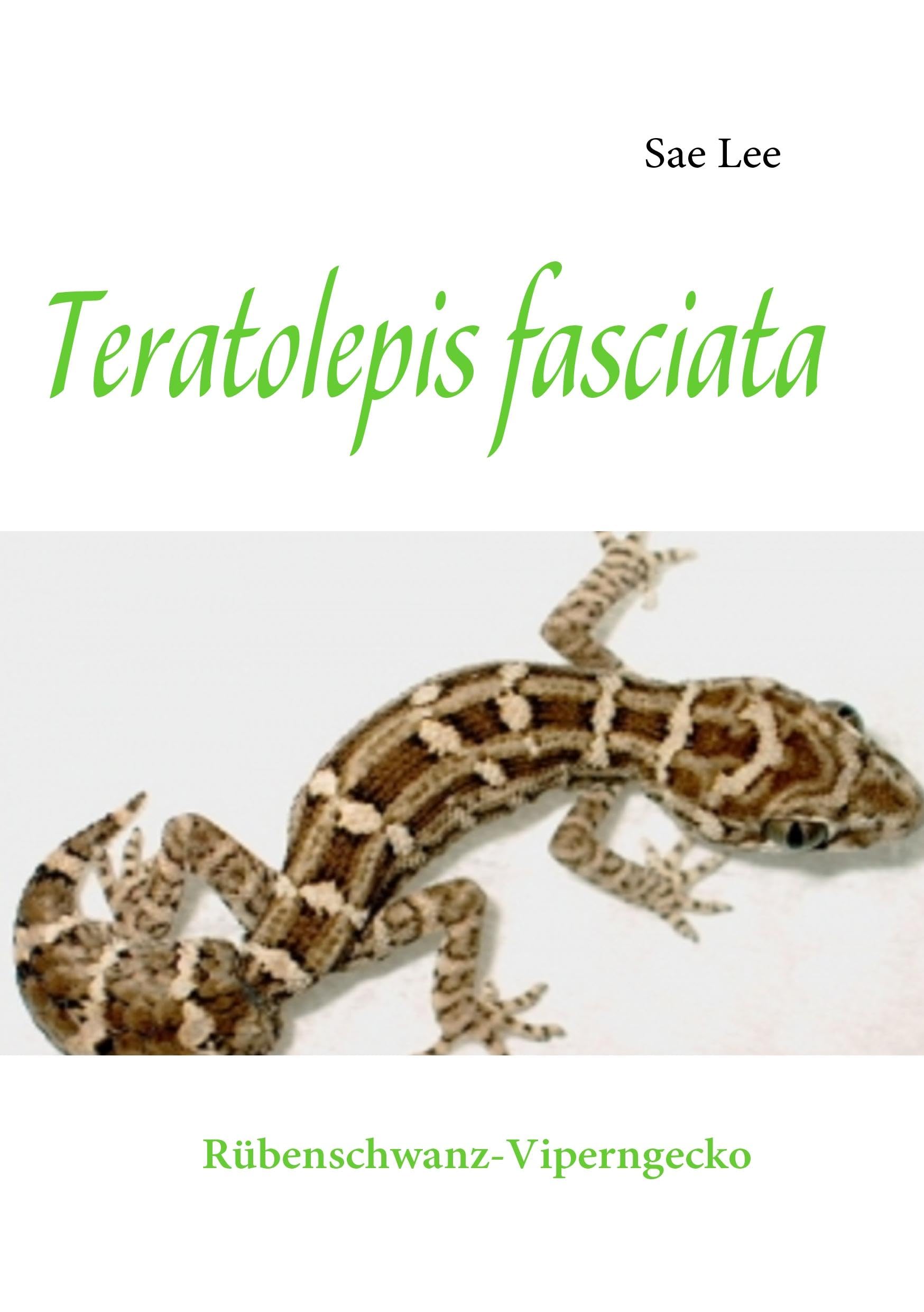 Product Image: Teratolepis fasciata