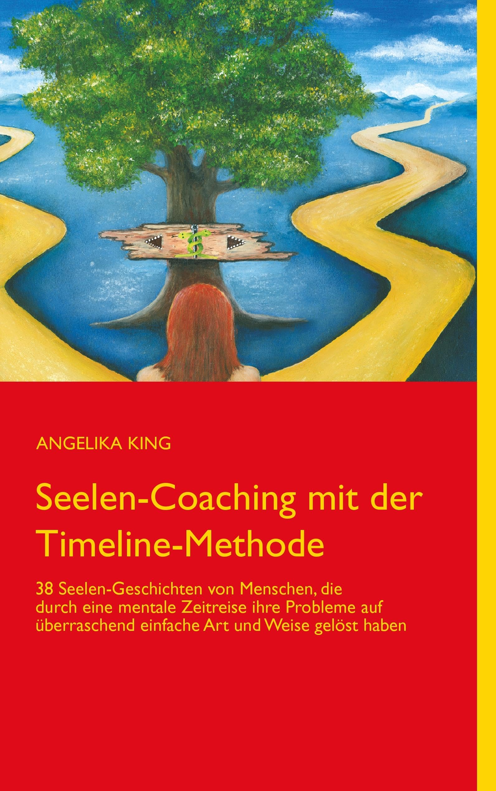 Seelen-Coaching mit der Timeline-Methode Contemporary literature Books