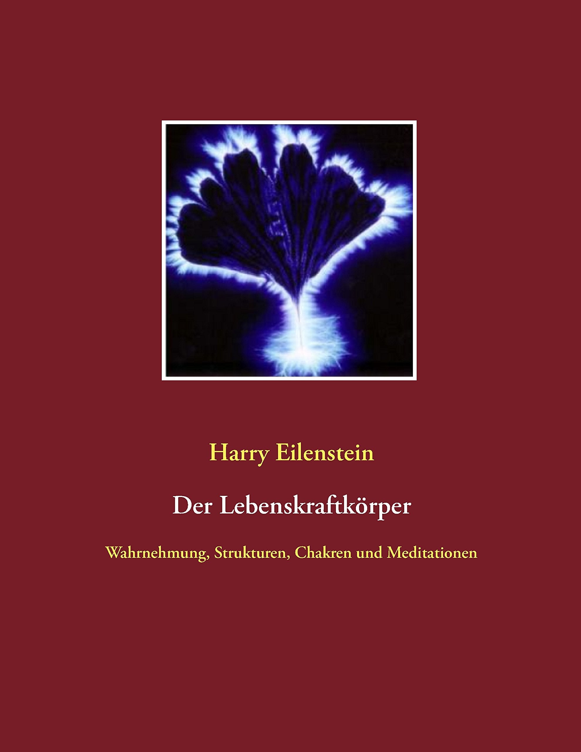 Der Lebenskraftkörper: Wahrnehmung, Strukturen, Chakren und Meditationen Religion & Esotericism