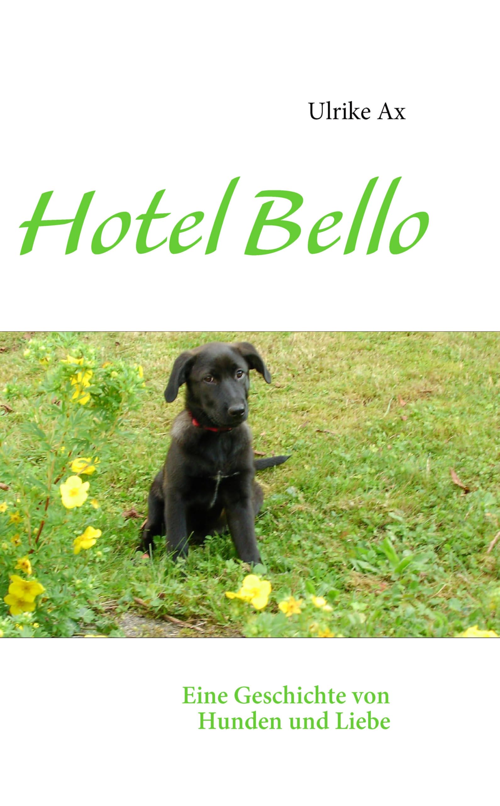 Hotel Bello: Eine Geschichte von Hunden und Liebe Fantasy & Sci-Fi