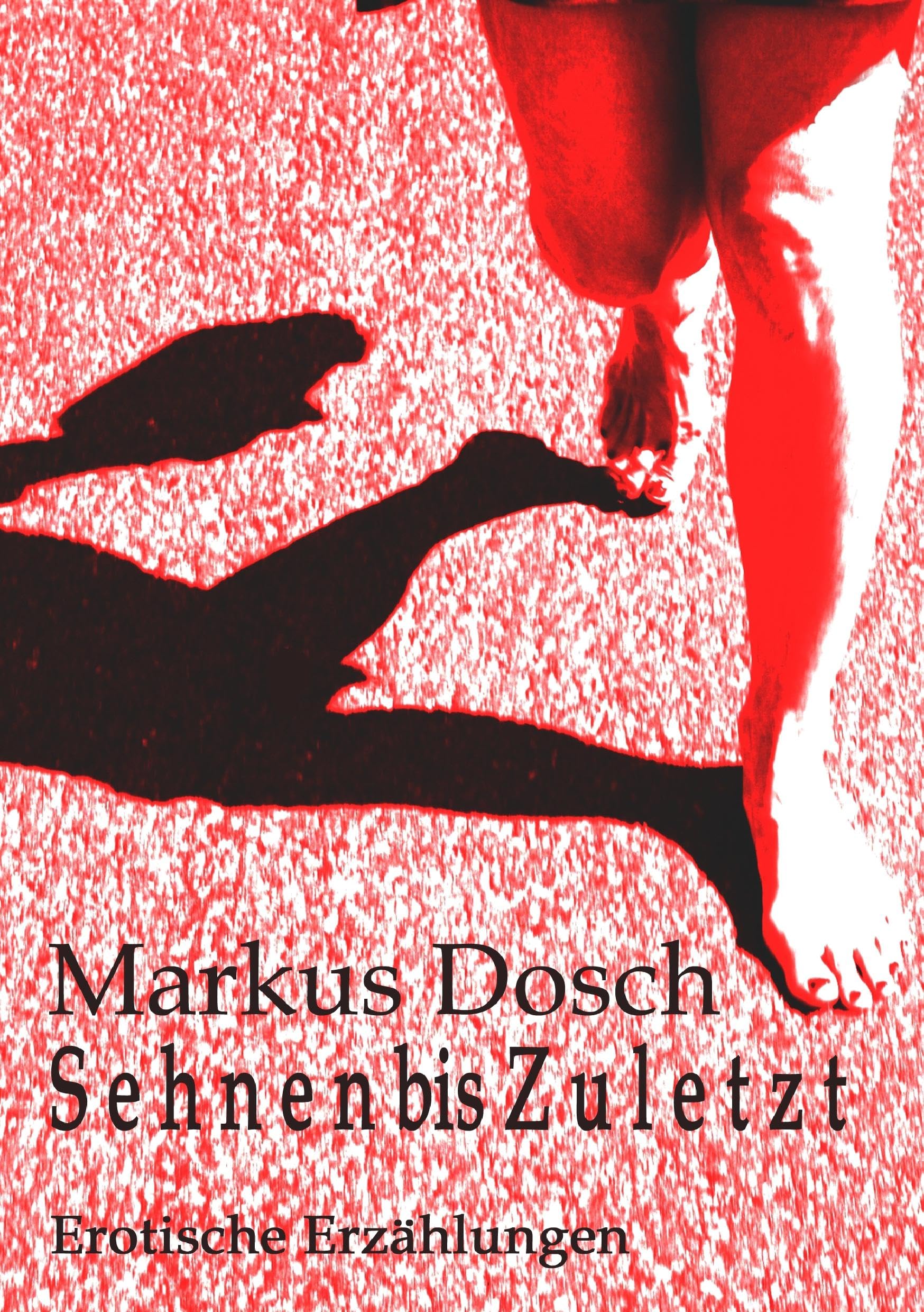 S e h n e n bis Z u l e t z t: Erotische Erzählungen Contemporary literature