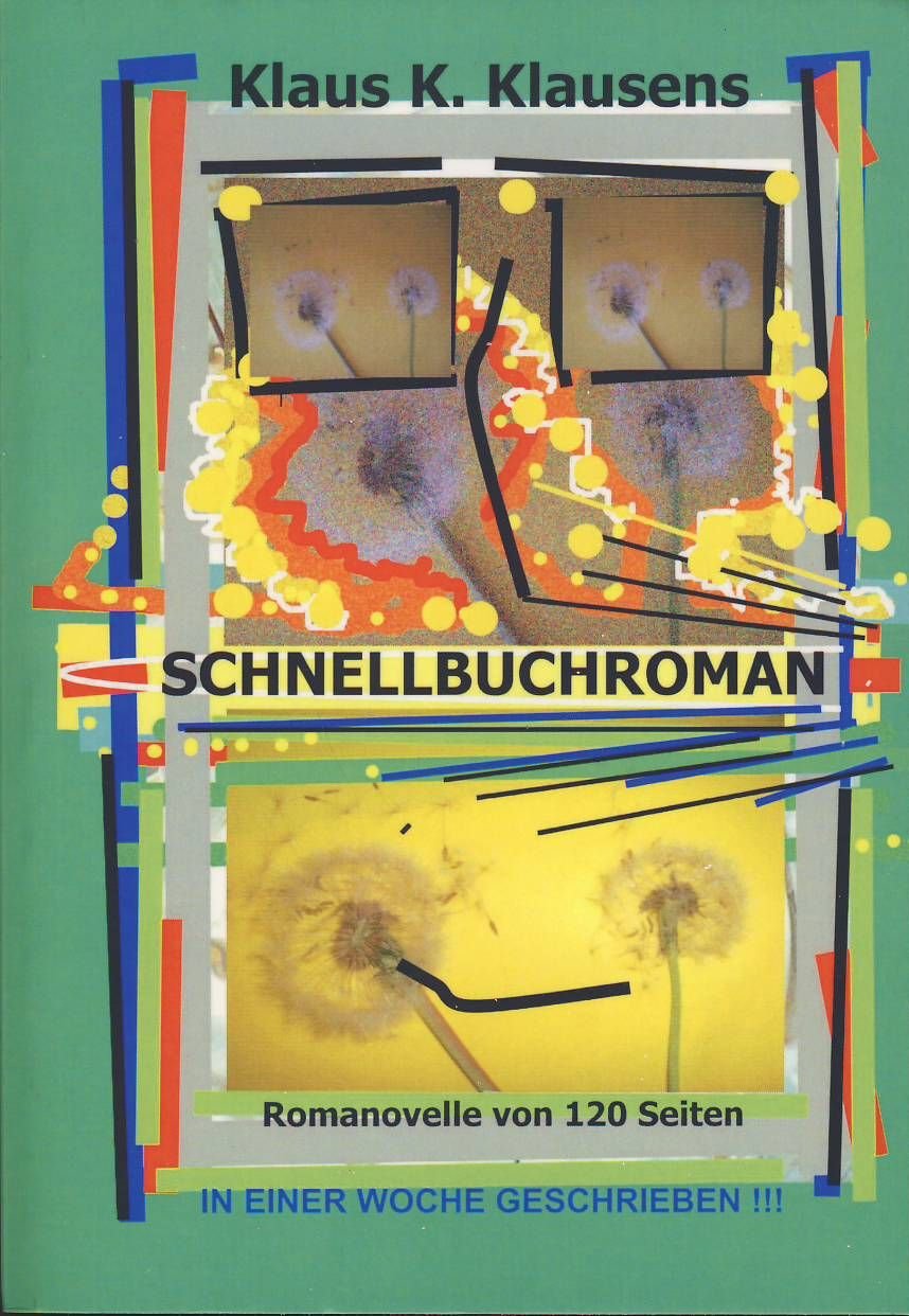 Schnellbuchroman: Romanovelle Contemporary literature
