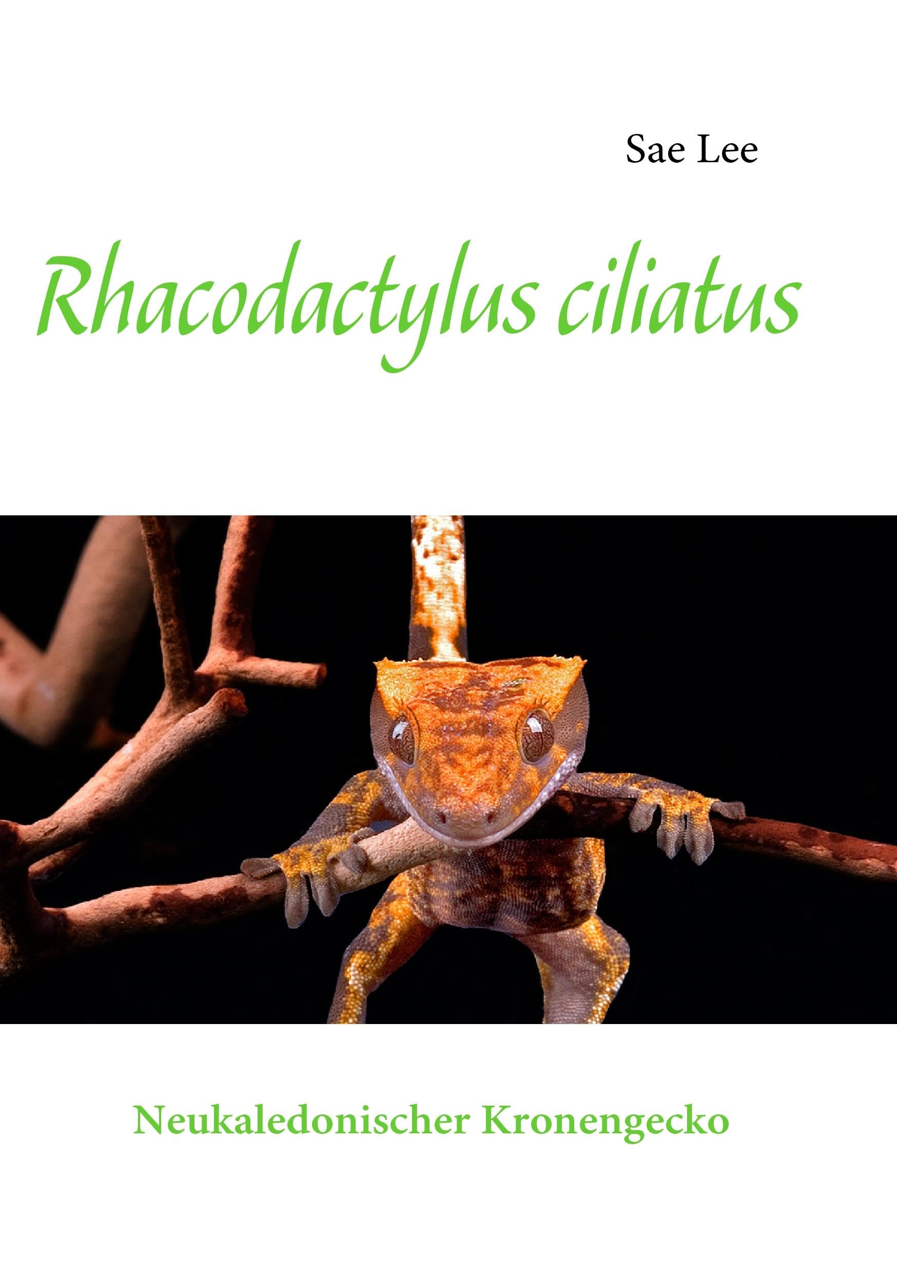Product Image: Rhacodactylus ciliatus
