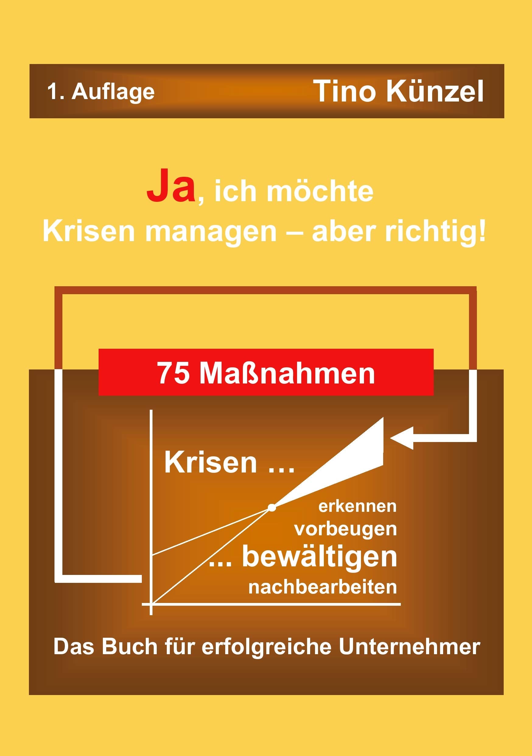 Ja, ich möchte Krisen managen - aber richtig! Business, Finance & Career