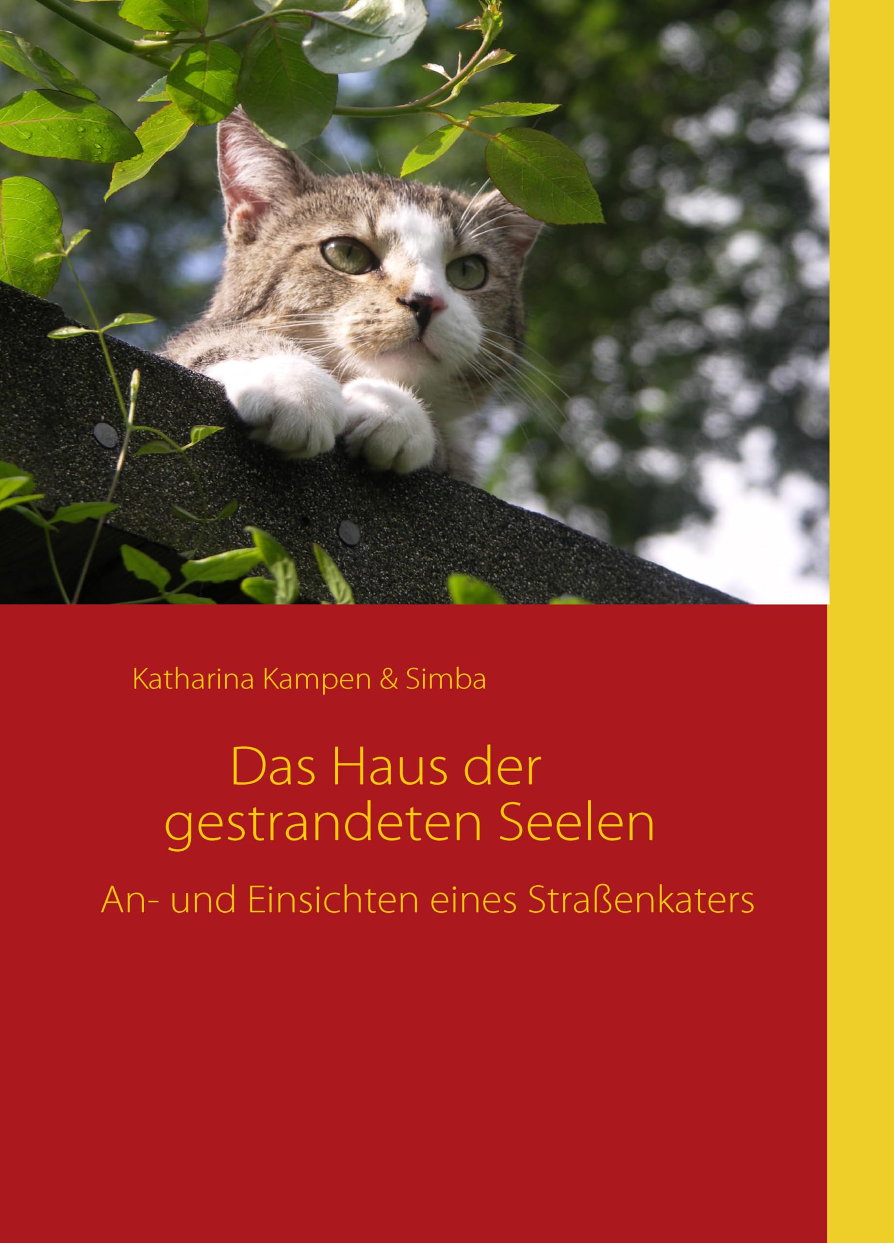 Das Haus der gestrandeten Seelen Education