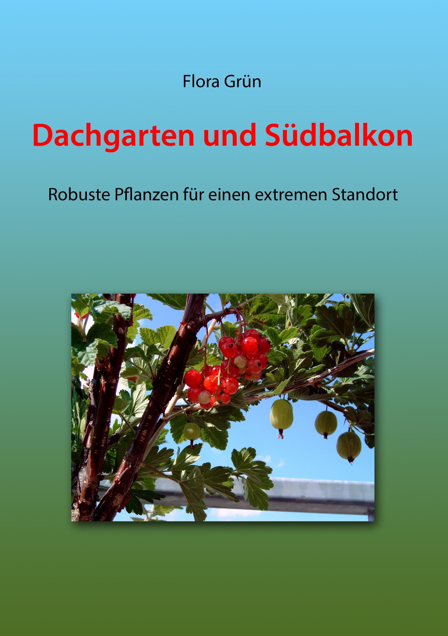 Dachgarten und Südbalkon Garden & Plants Books