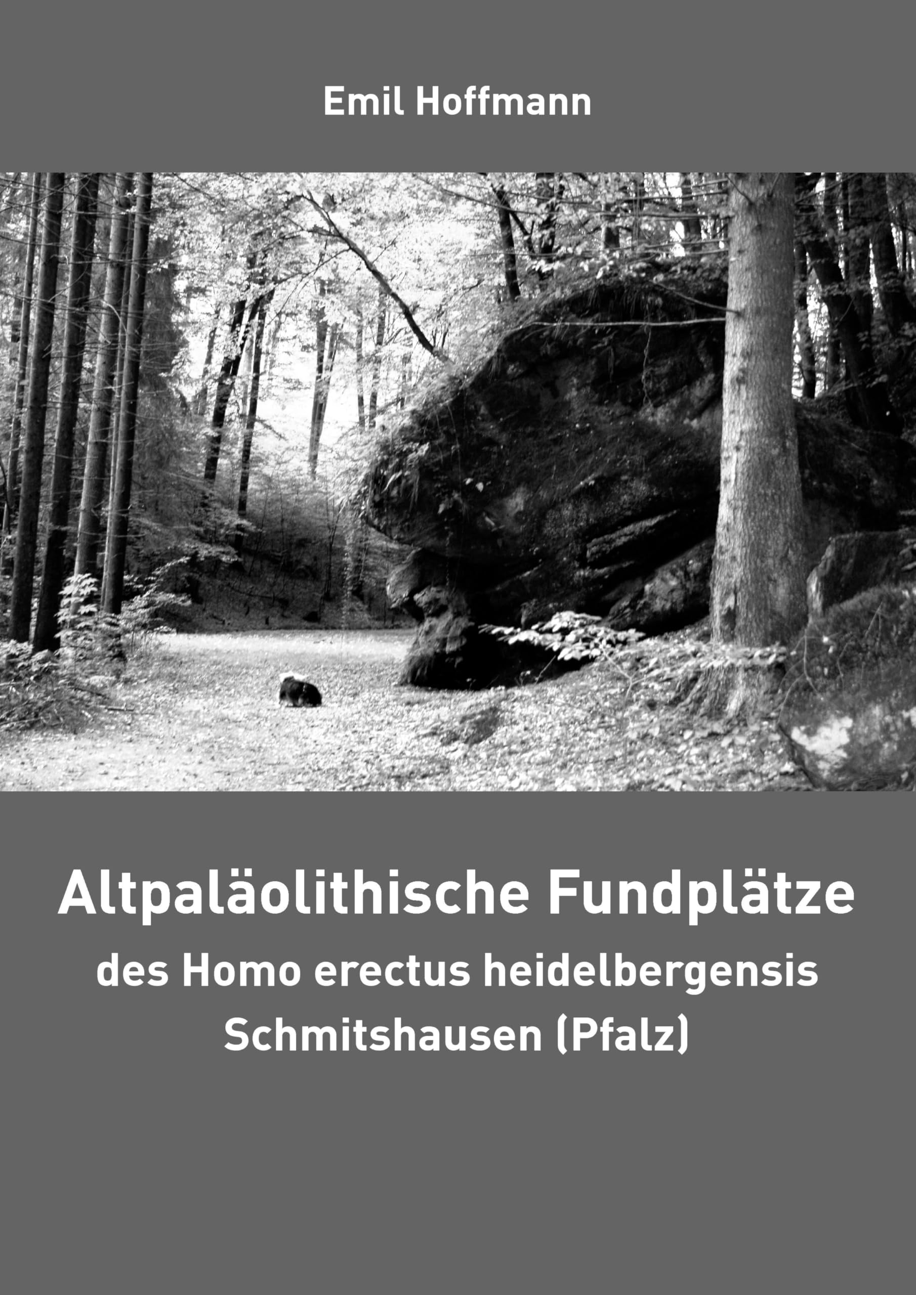 Altpaläolithische Fundplätze des Homo erectus heidelbergensis Schmitshausen (Pfalz) General education