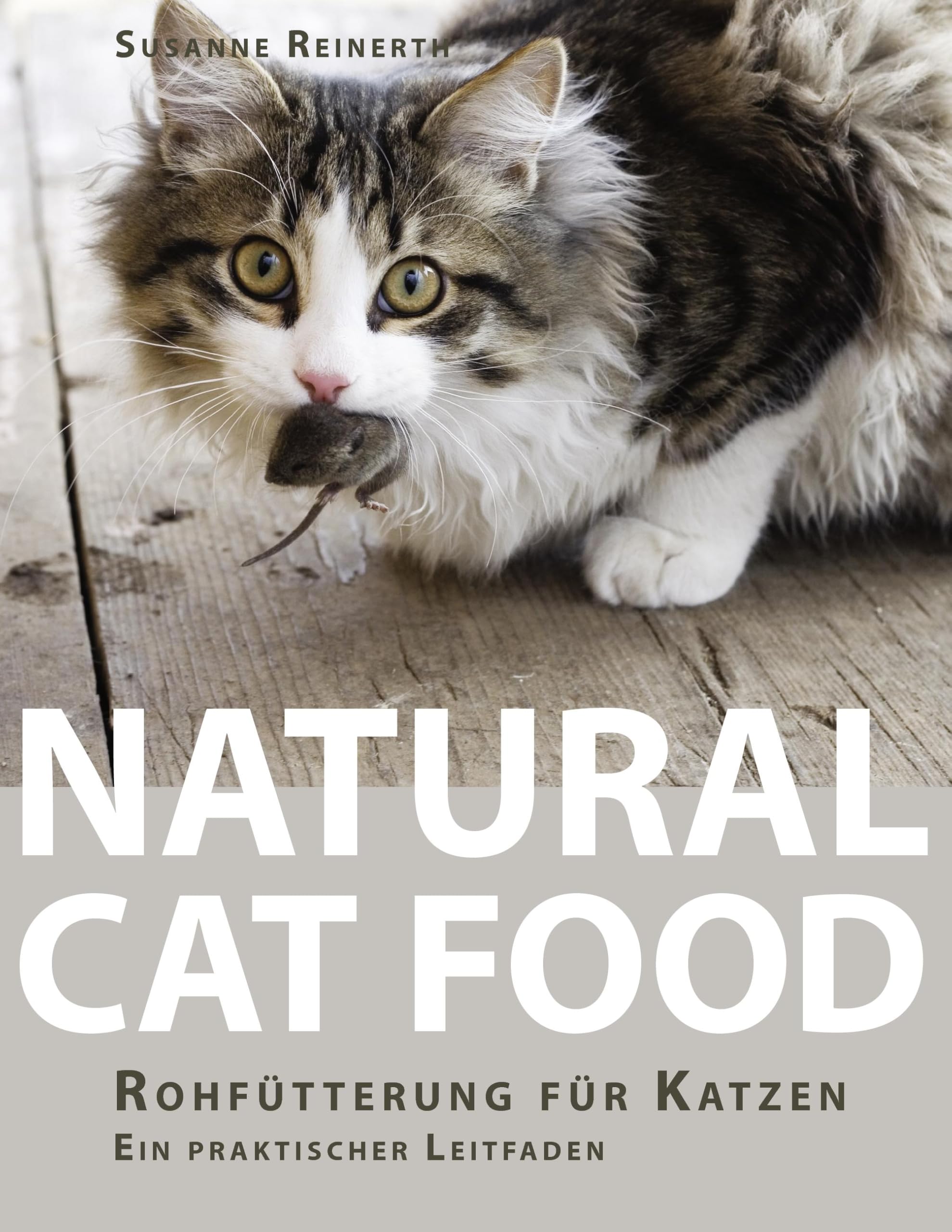 Natural Cat Food Pets