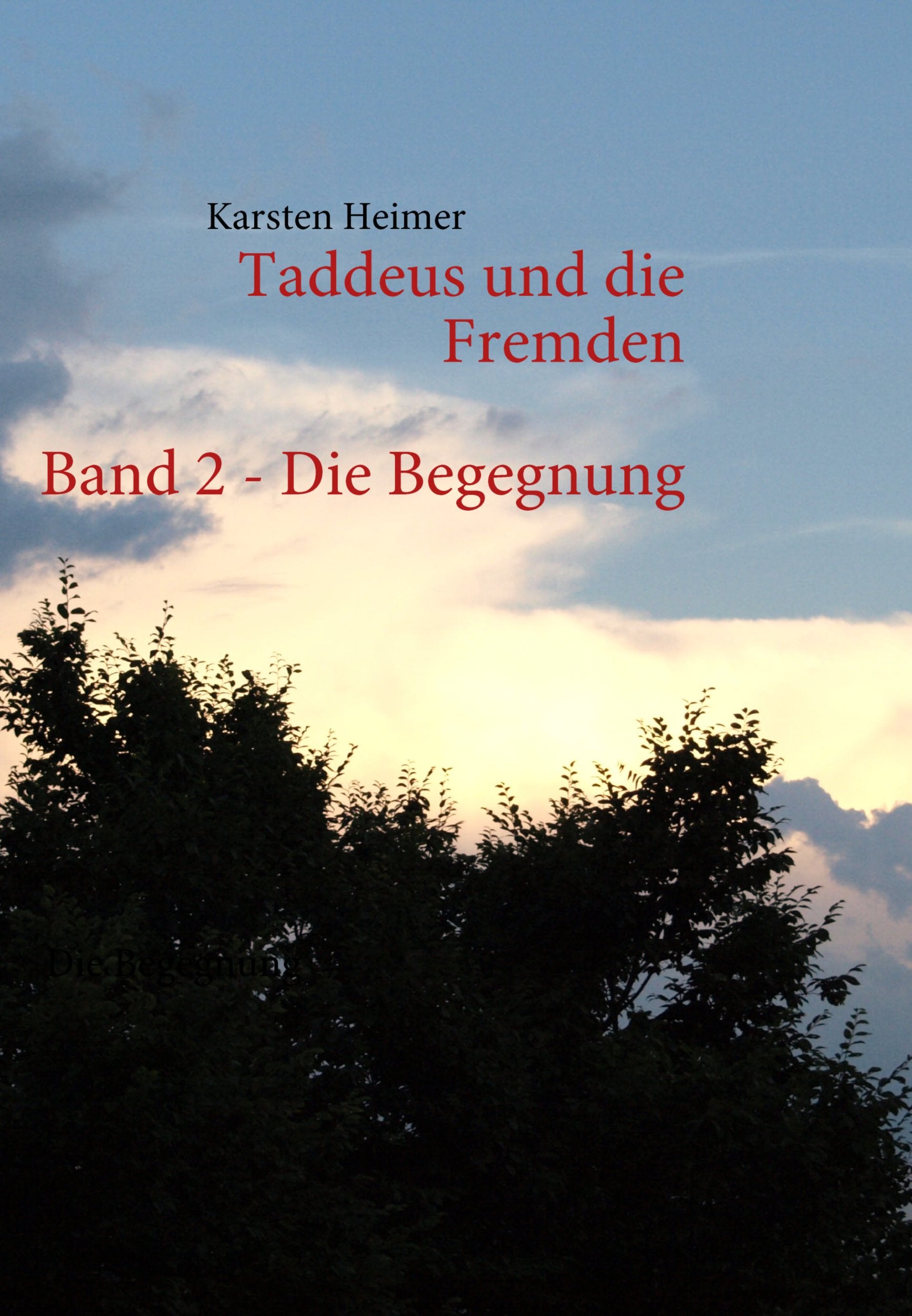 Taddeus Und Die Fremden - Band 2 Fiction