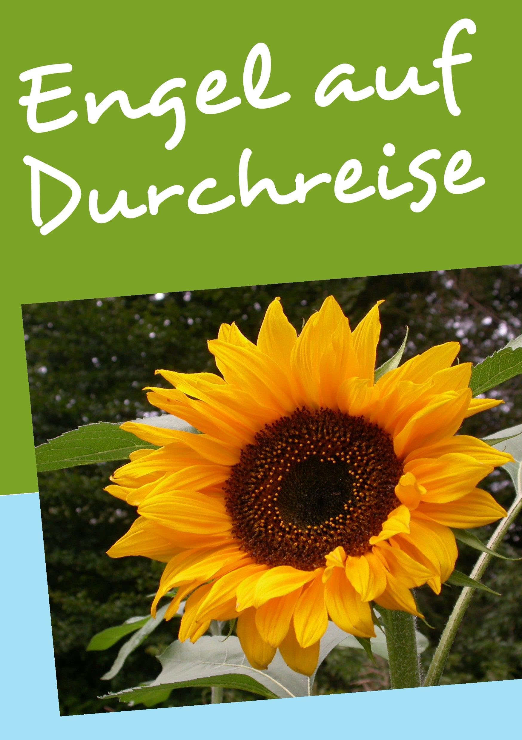 Engel auf Durchreise Social Sciences