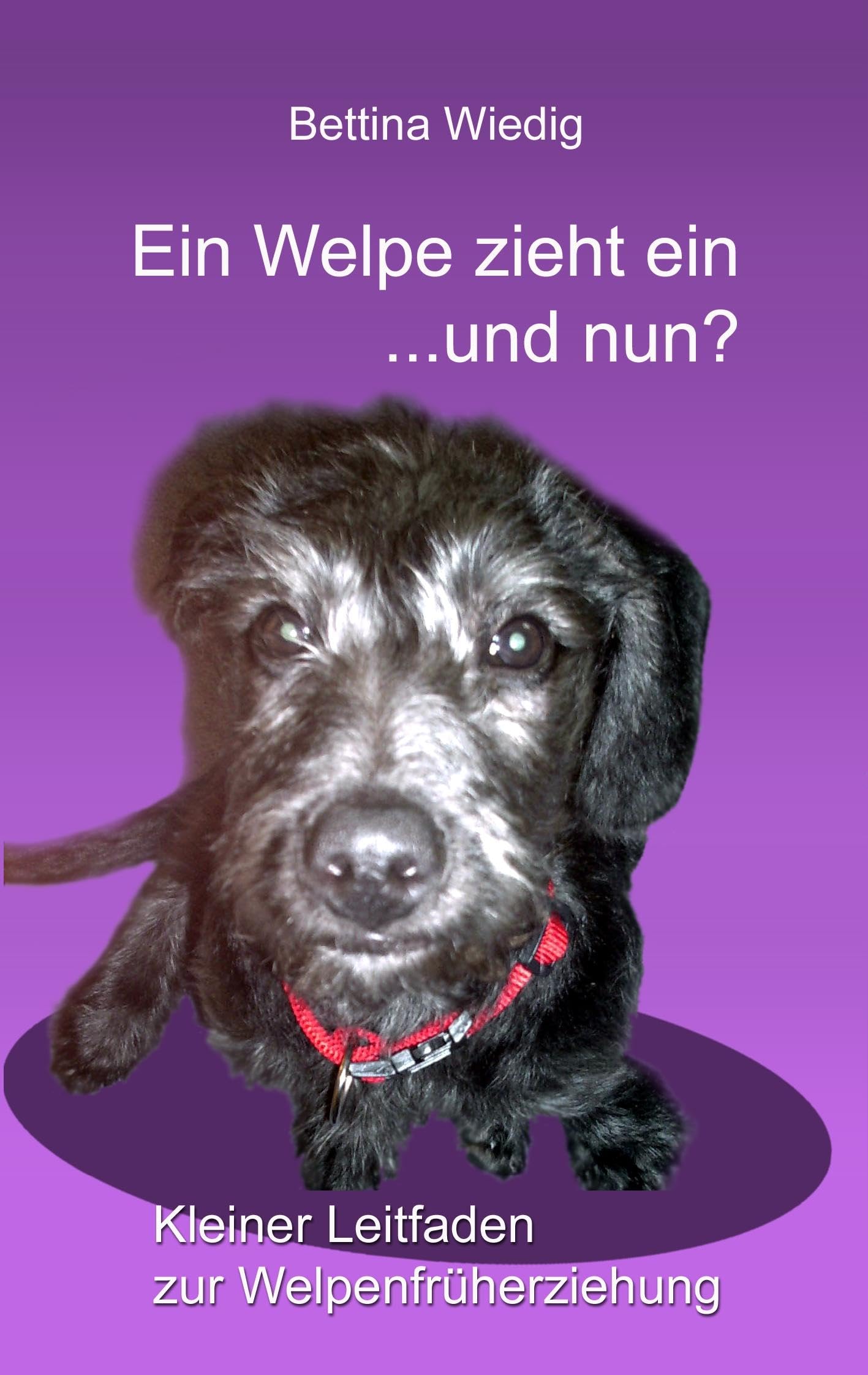 Ein Welpe zieht ein ... und nun?: Kleiner Leitfaden zur Welpenfrüherziehung Self-help