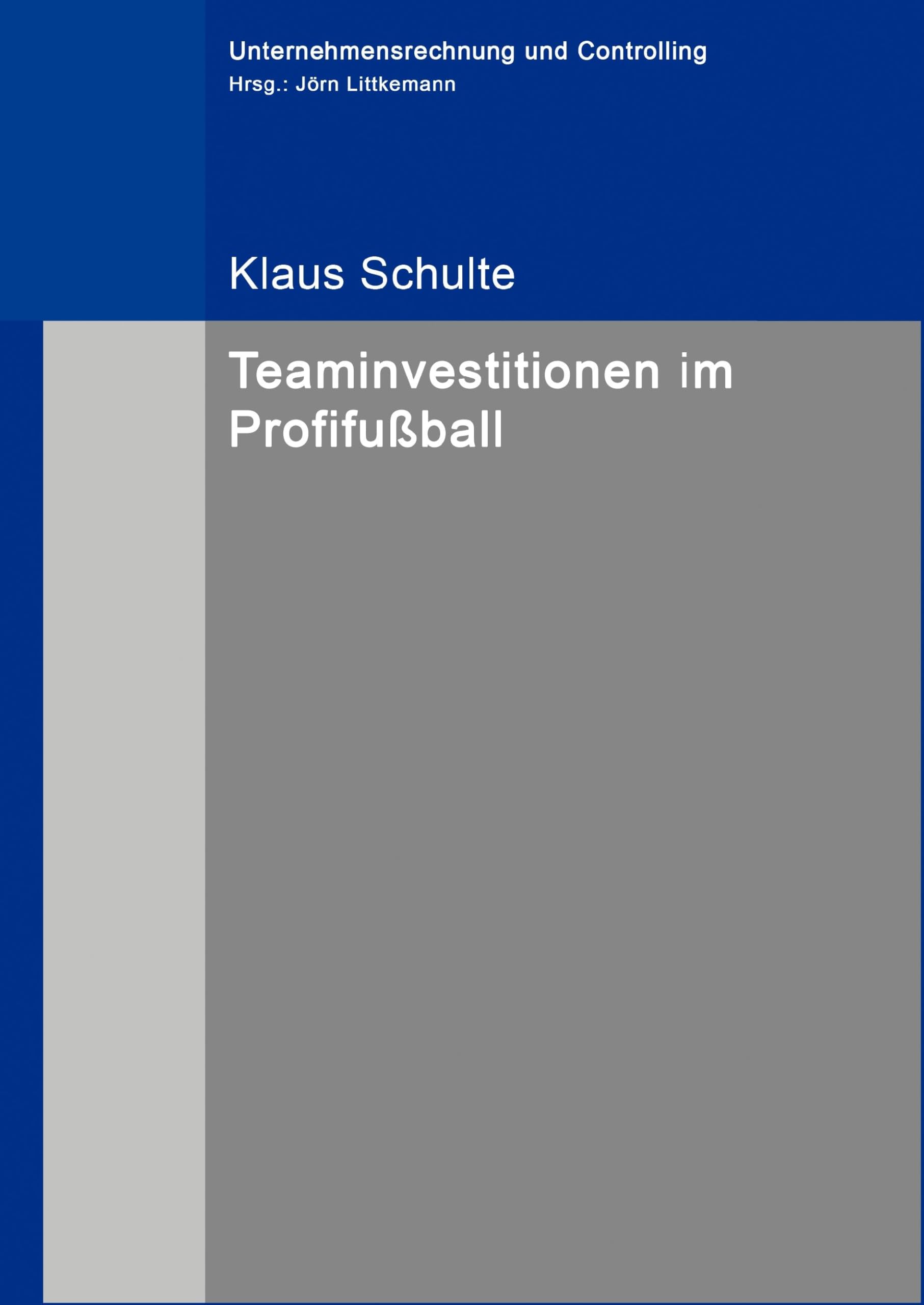 Teaminvestitionen im Profifußball book