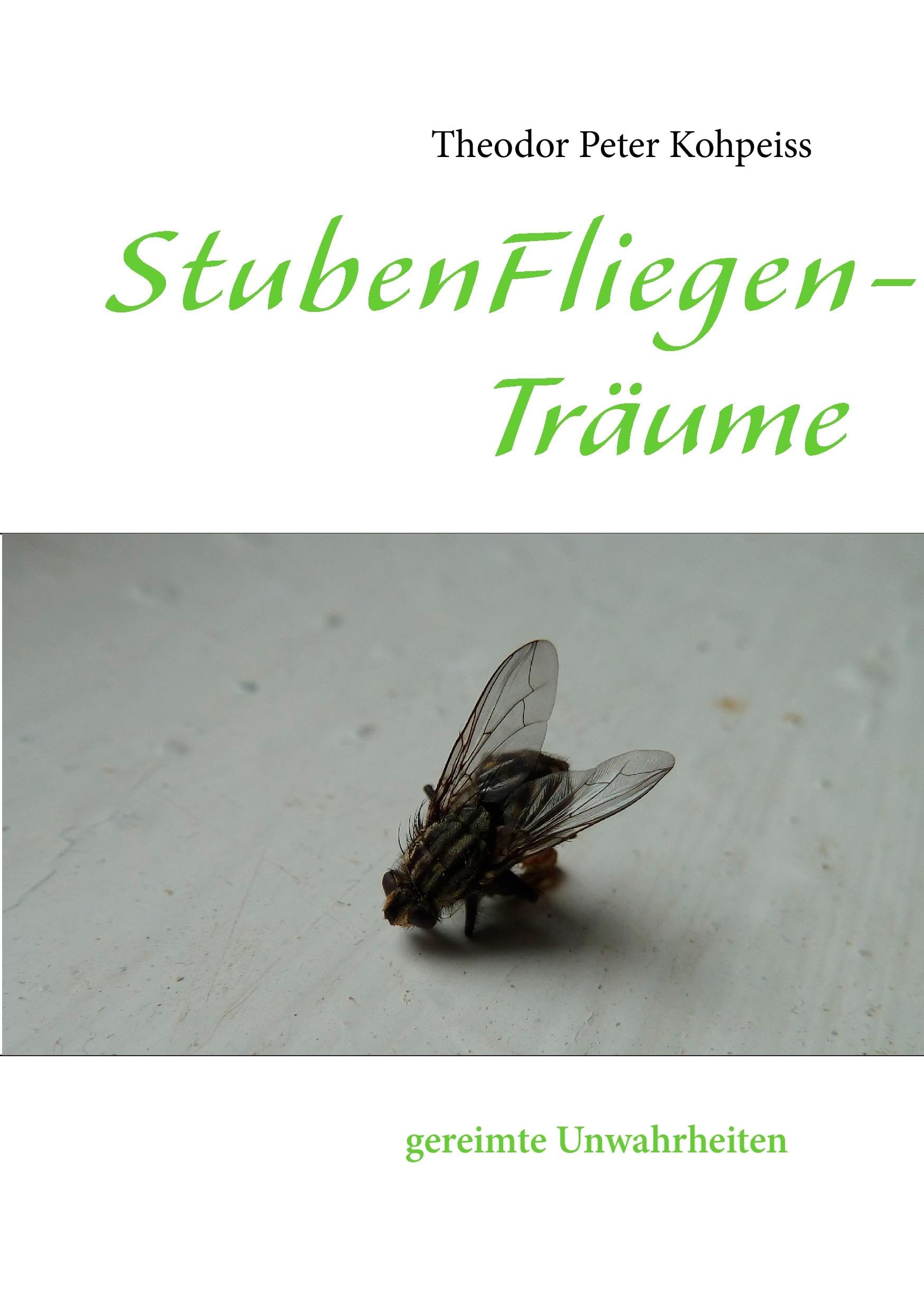 StubenFliegenTräume book