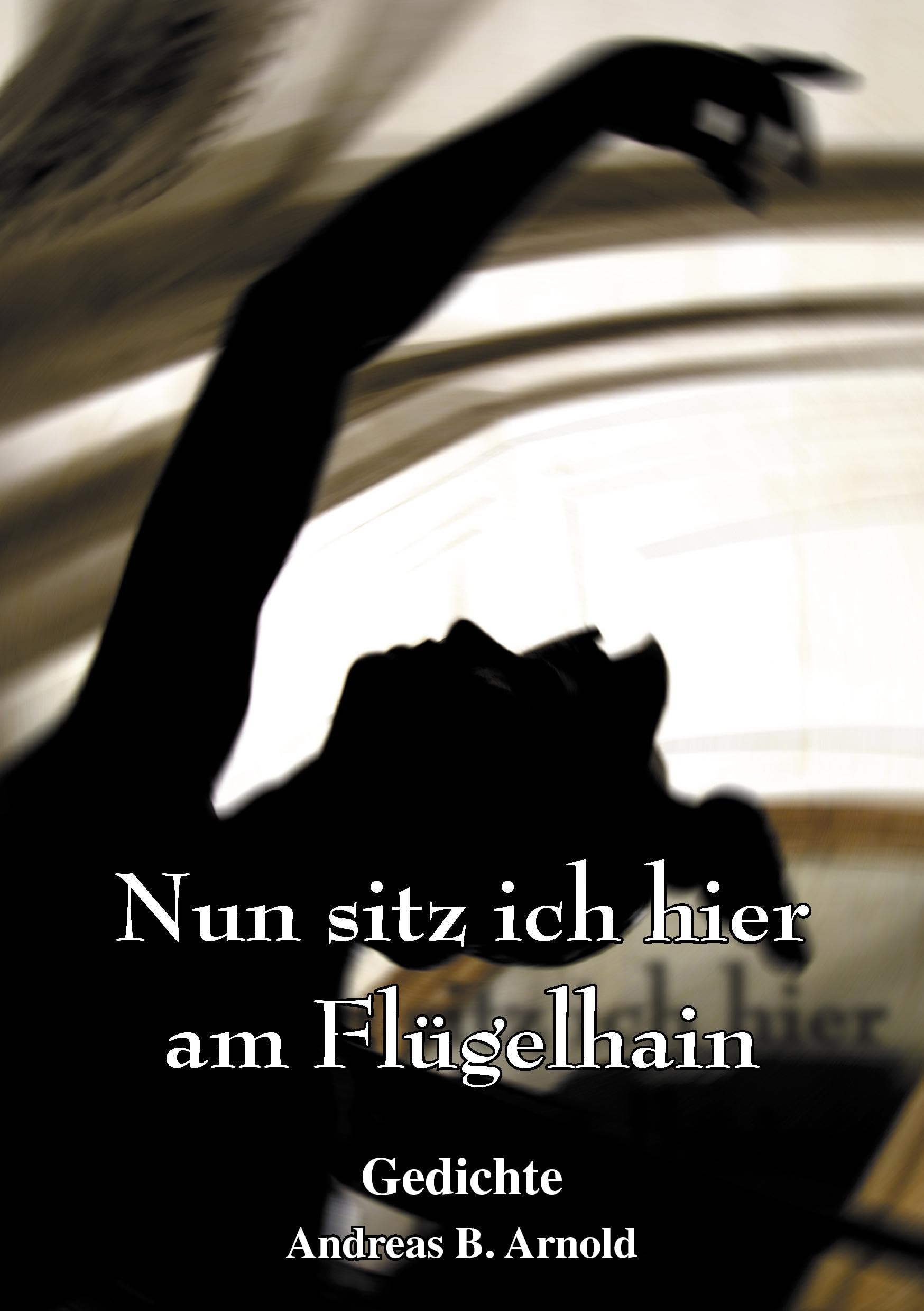 Nun sitz ich hier am Flügelhain Poetry
