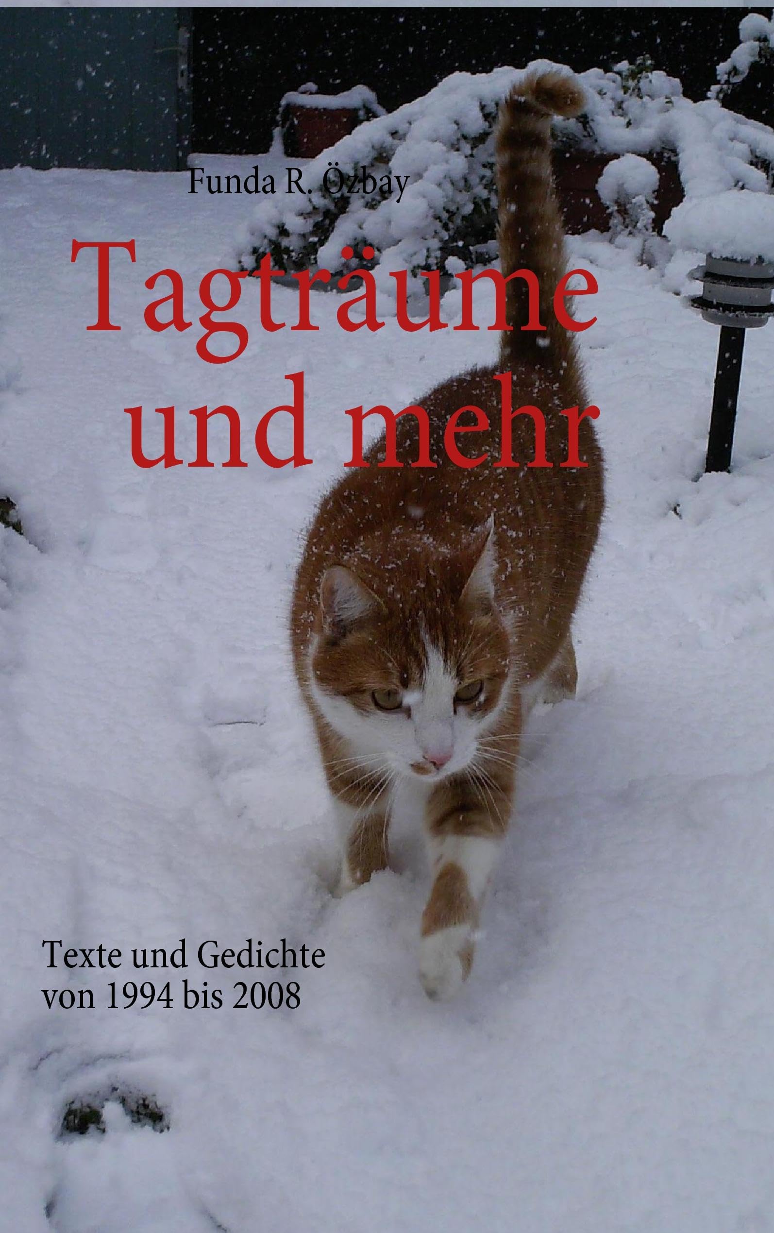 Tagträume und mehr: Texte und Gedichte von 1994 bis 2008 Poetry