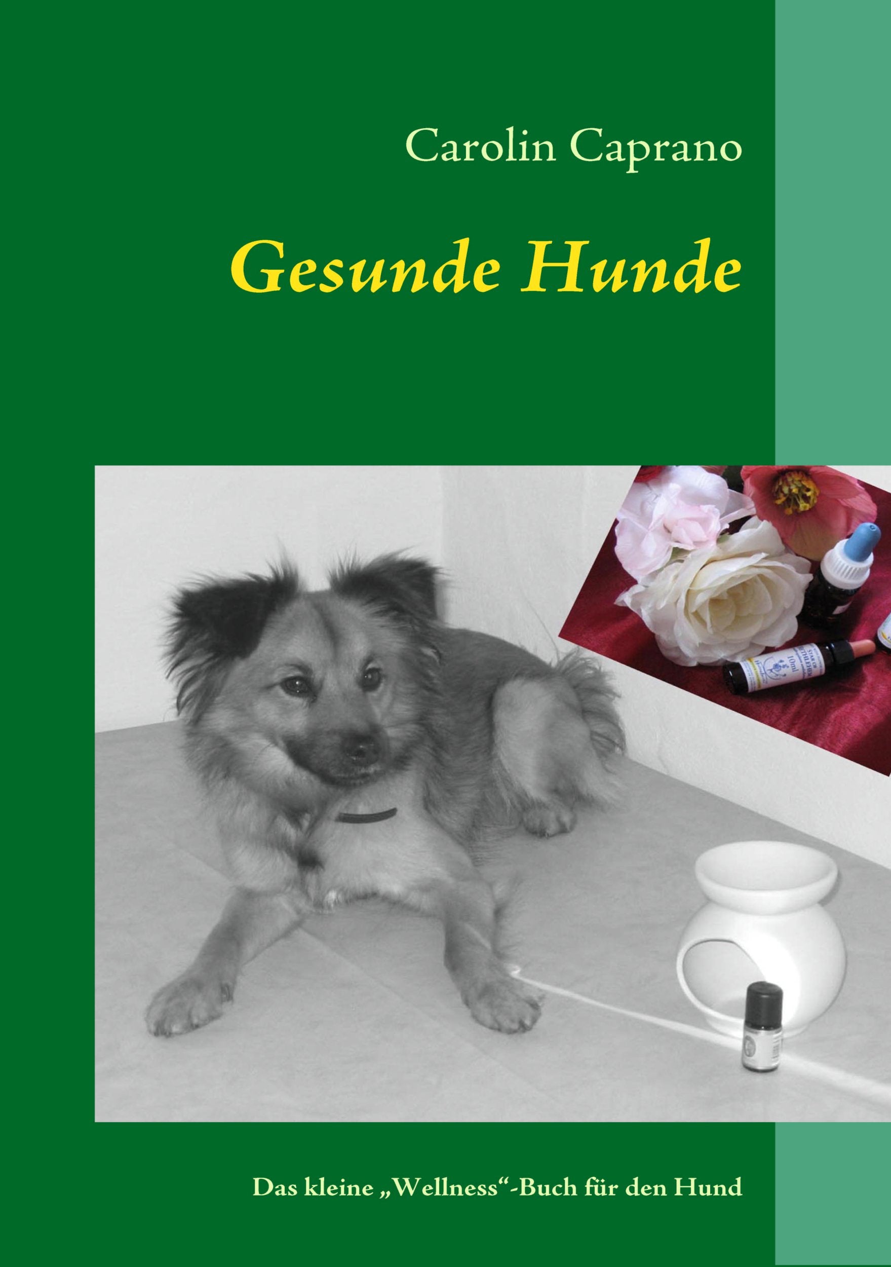 Gesunde Hunde Pets