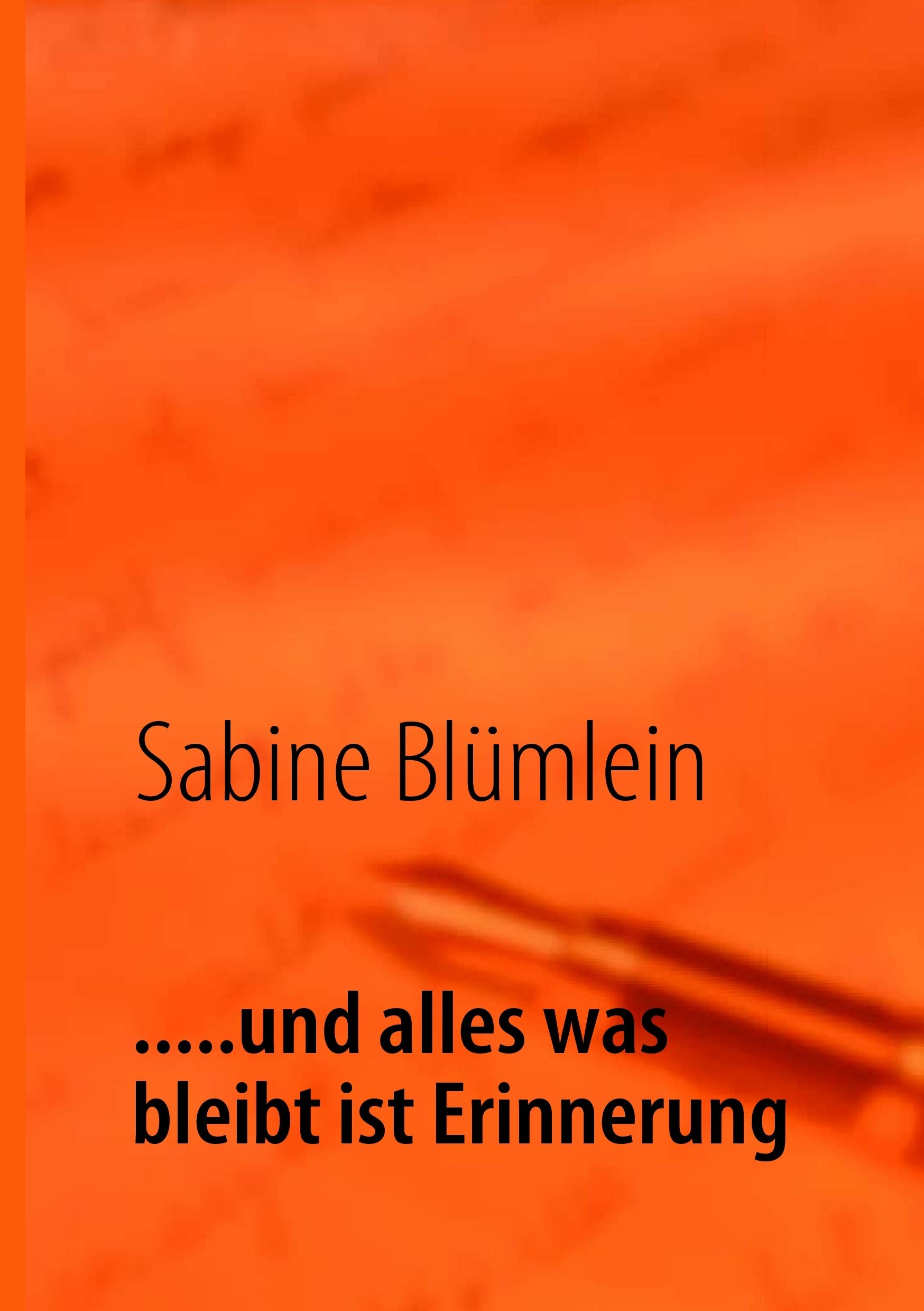 .....und alles was bleibt ist Erinnerung Contemporary literature