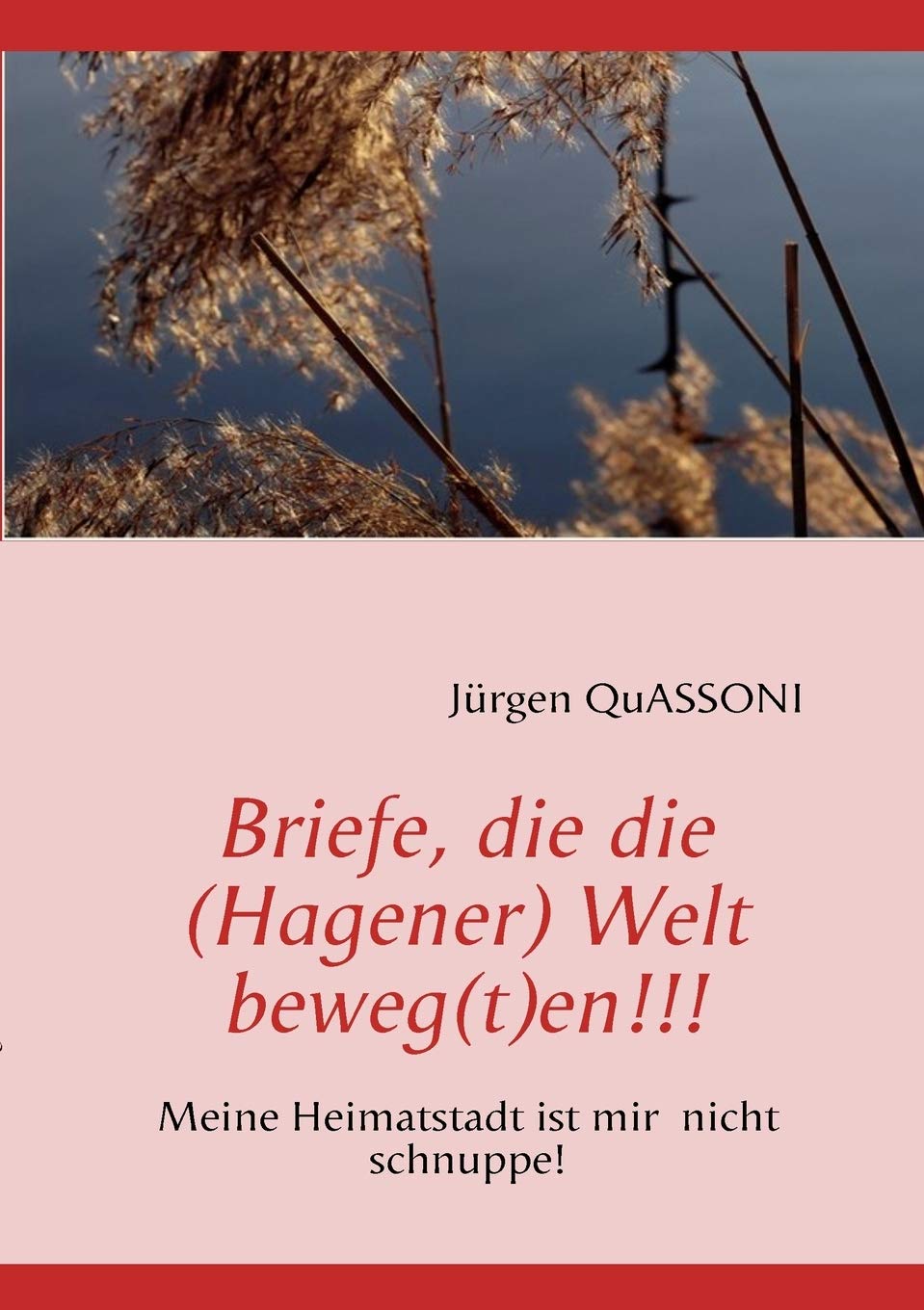 Briefe, die die (Hagener) Welt beweg(t)en!!!: Meine Heimatstadt ist mir nicht einfach schnuppe! Essays & Short Stories