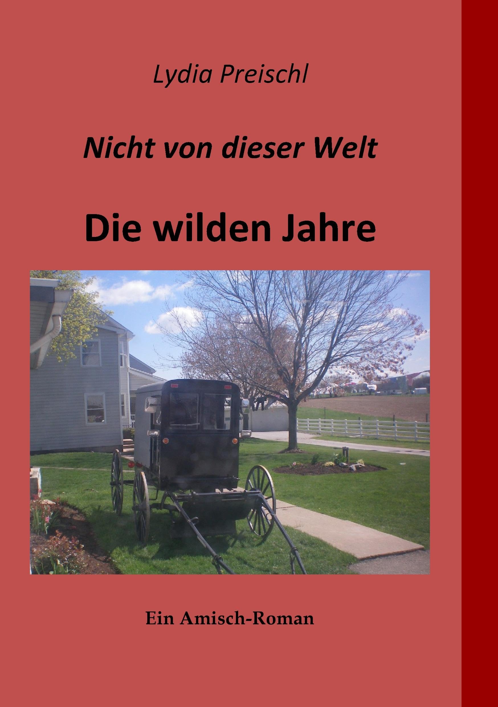 Nicht von dieser Welt - Die wilden Jahre book