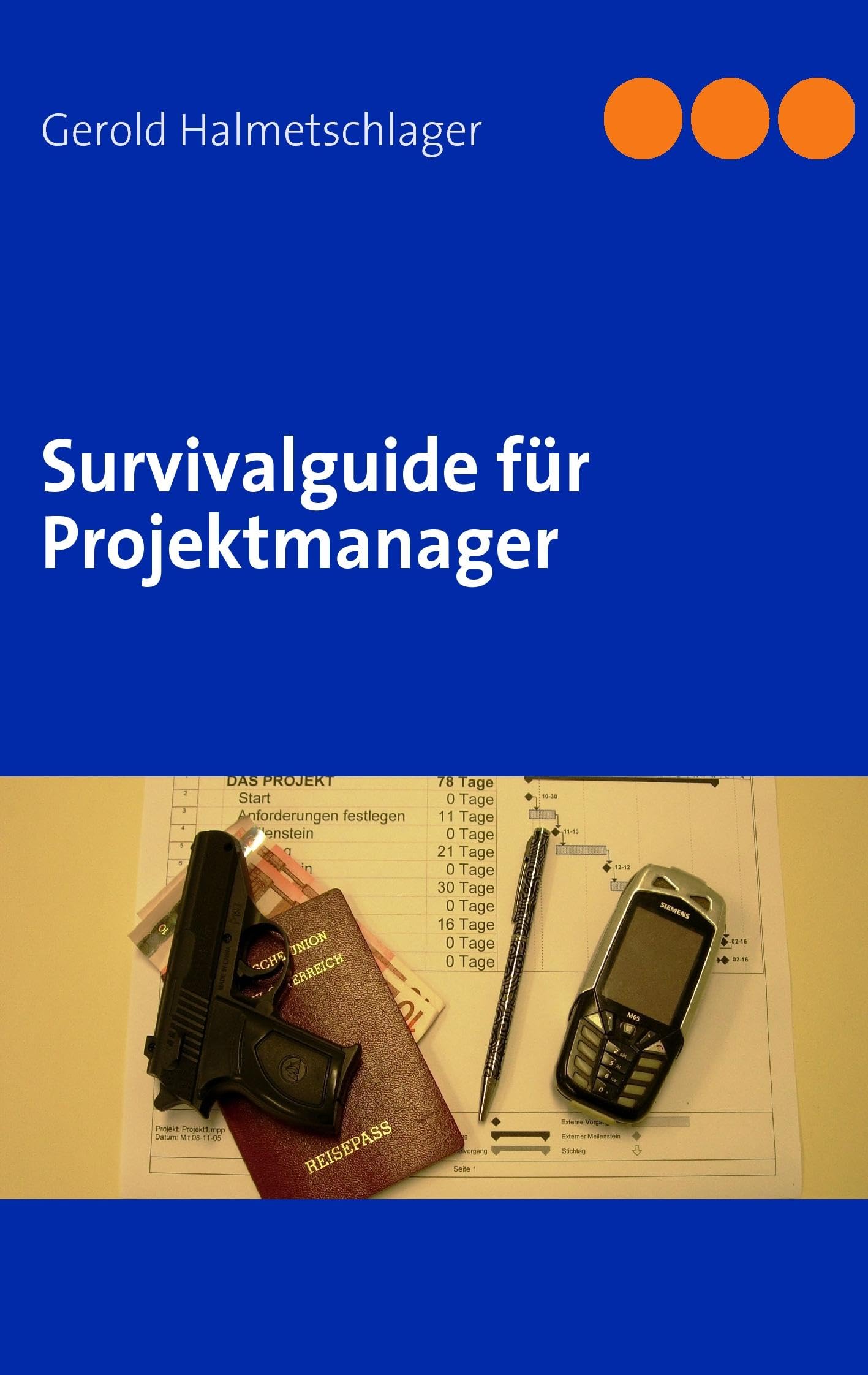 Survivalguide für Projektmanager Business, Finance & Career