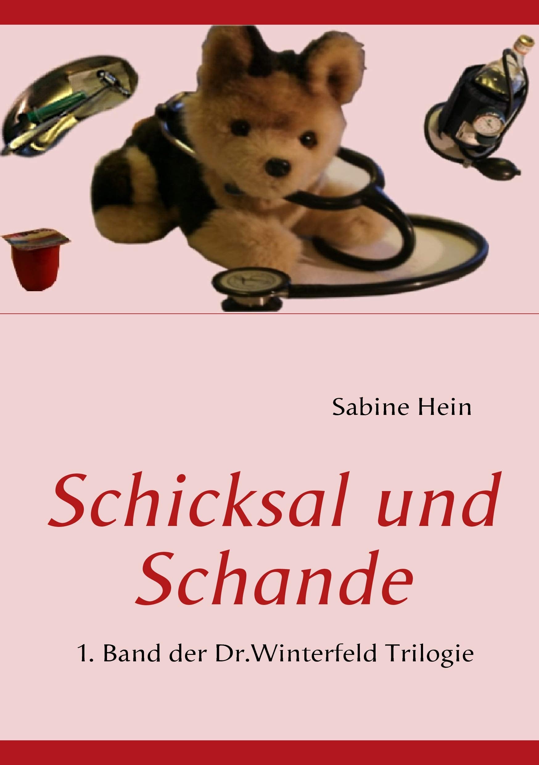 Schicksal und Schande: 1. Band der Dr.Winterfeld Trilogie Contemporary literature