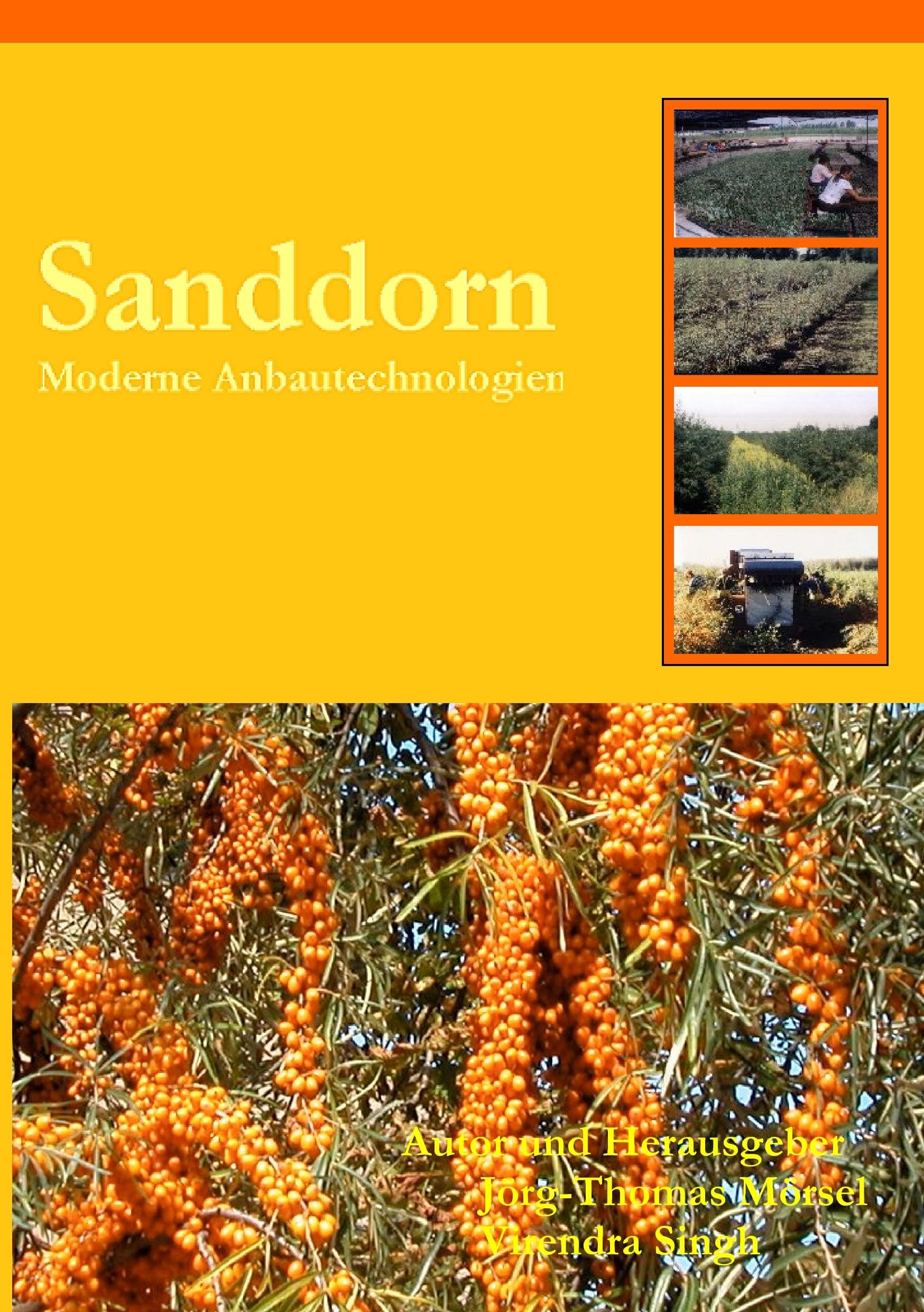 Sanddorn: Moderne Anbautechnologien Media & Communication