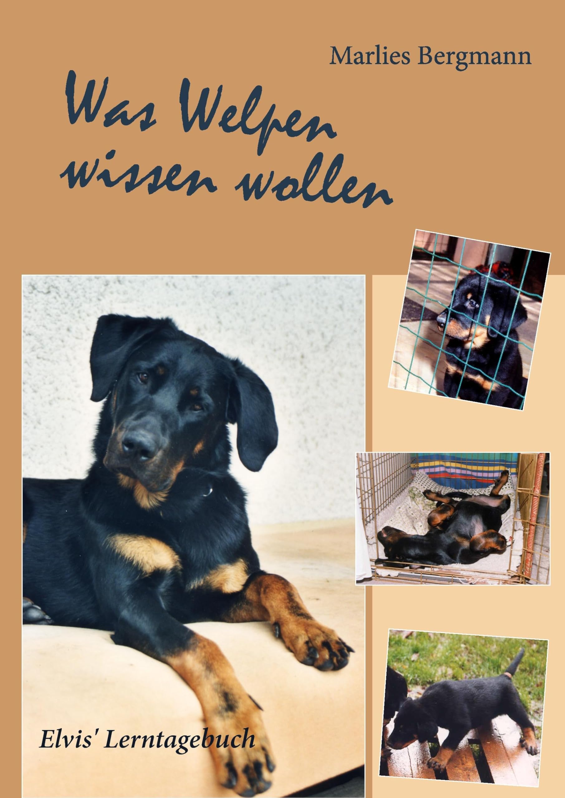 Was Welpen wissen wollen: Elvis' Lerntagebuch Pets