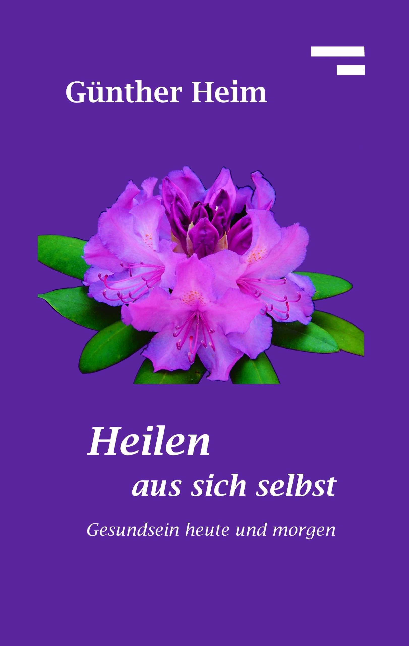 Heilen aus sich selbst: Über das Gesundsein heute und morgen Books