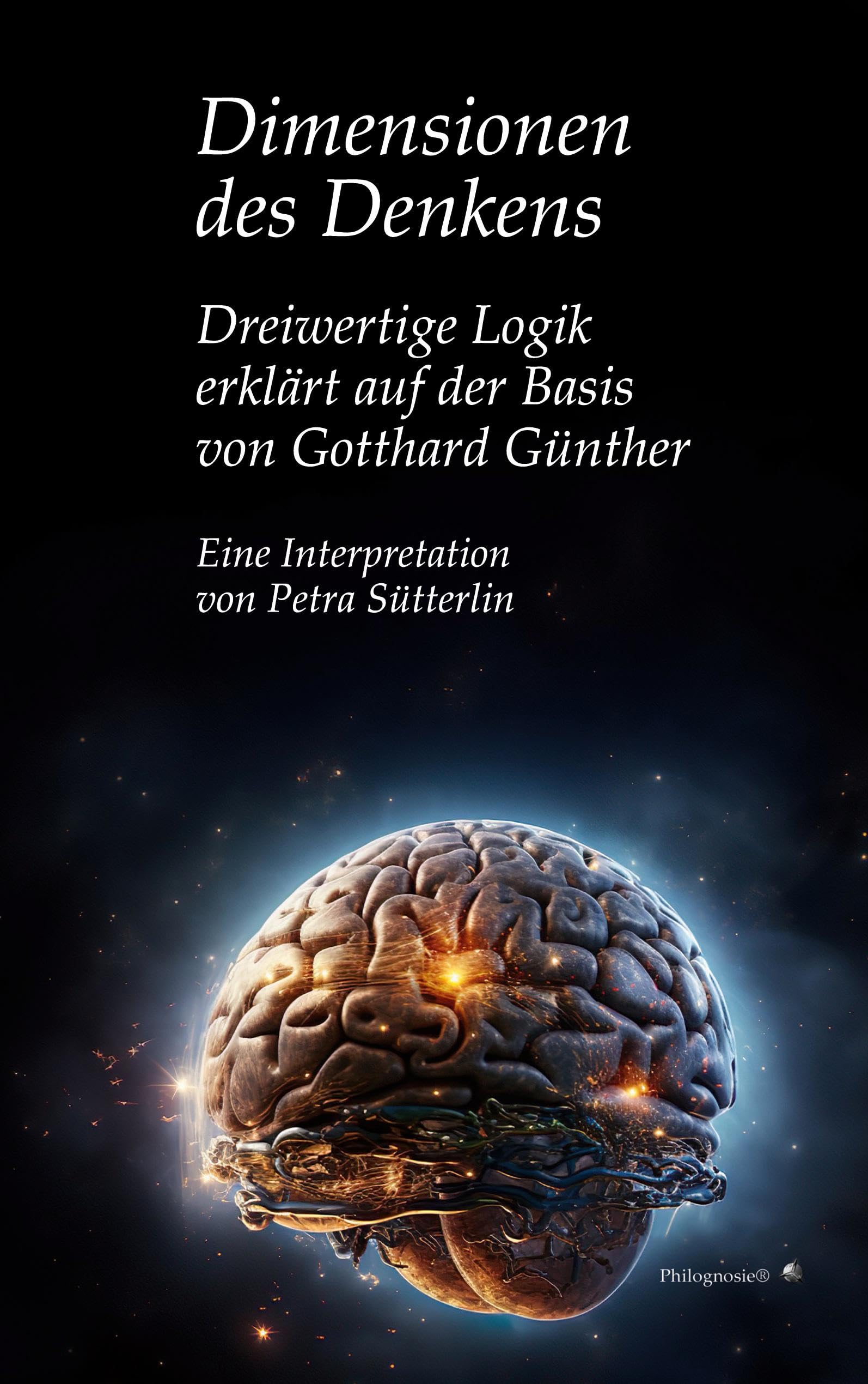 Dimensionen des Denkens Philosophy Books