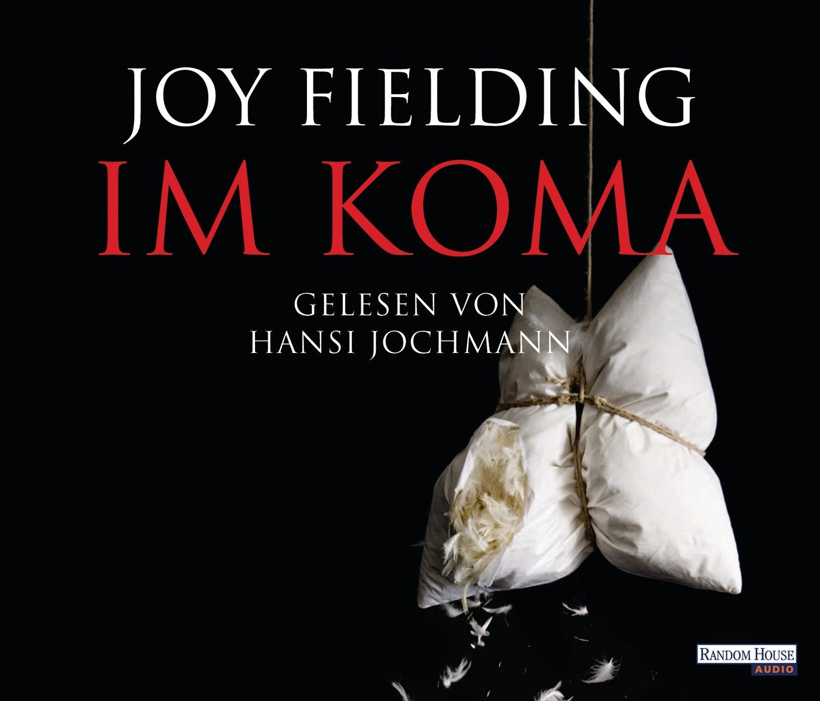 Im Koma Contemporary literature Books