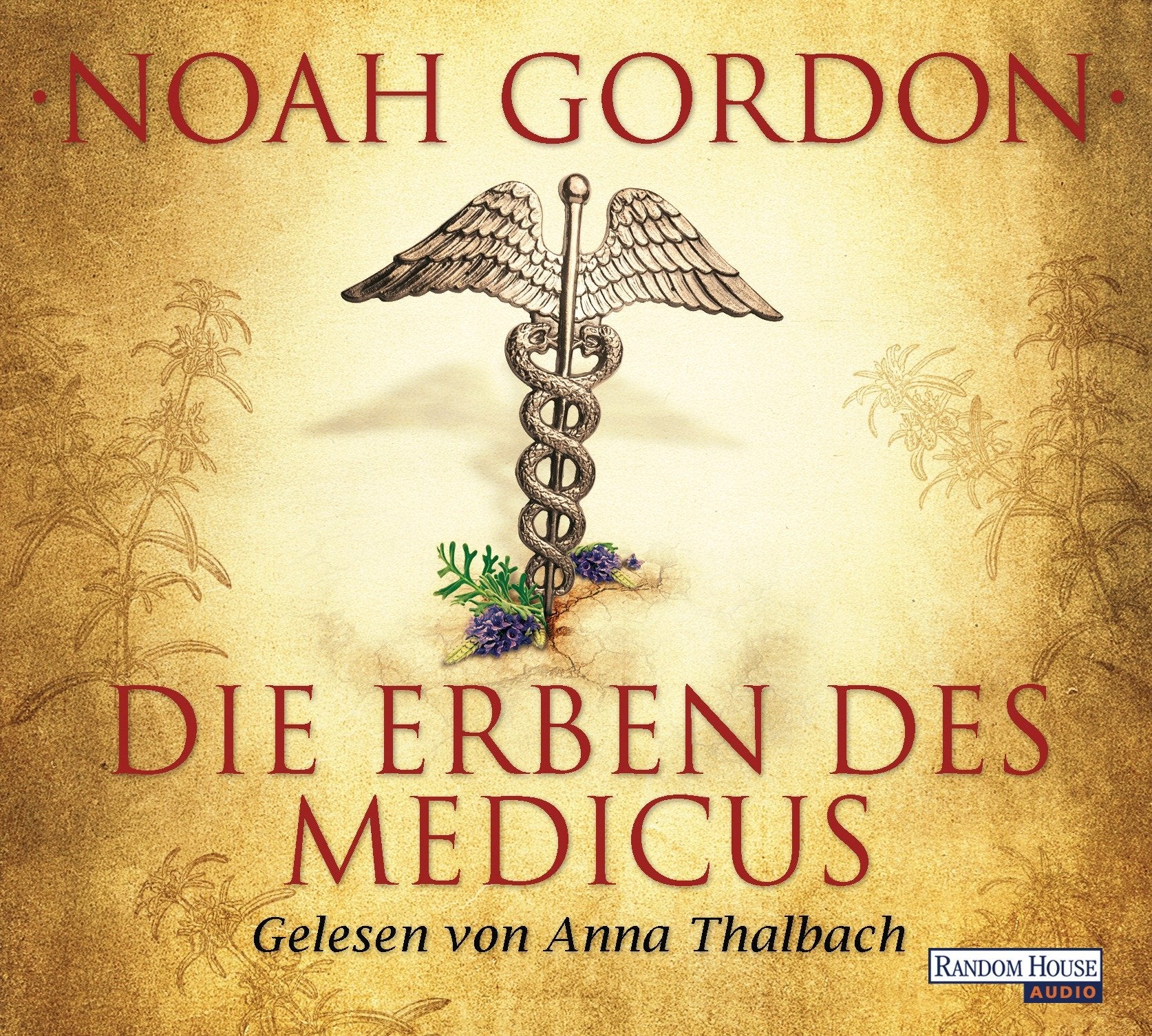 Die Erben des Medicus Contemporary literature Books