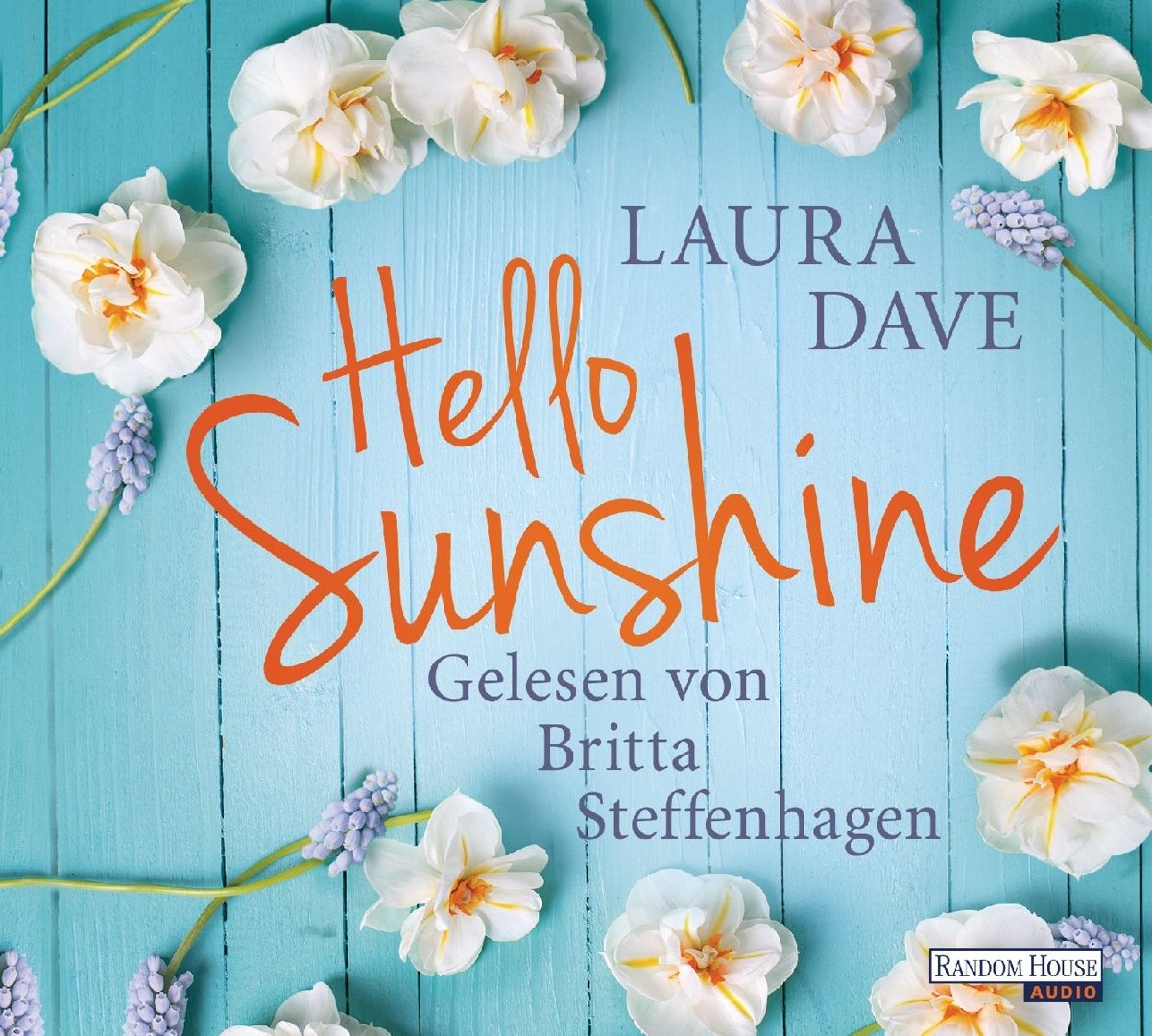 Hello Sunshine Contemporary literature Books
