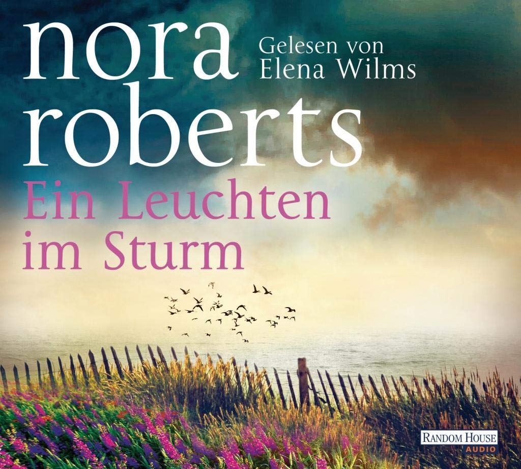 Product Image: Ein Leuchten im Sturm