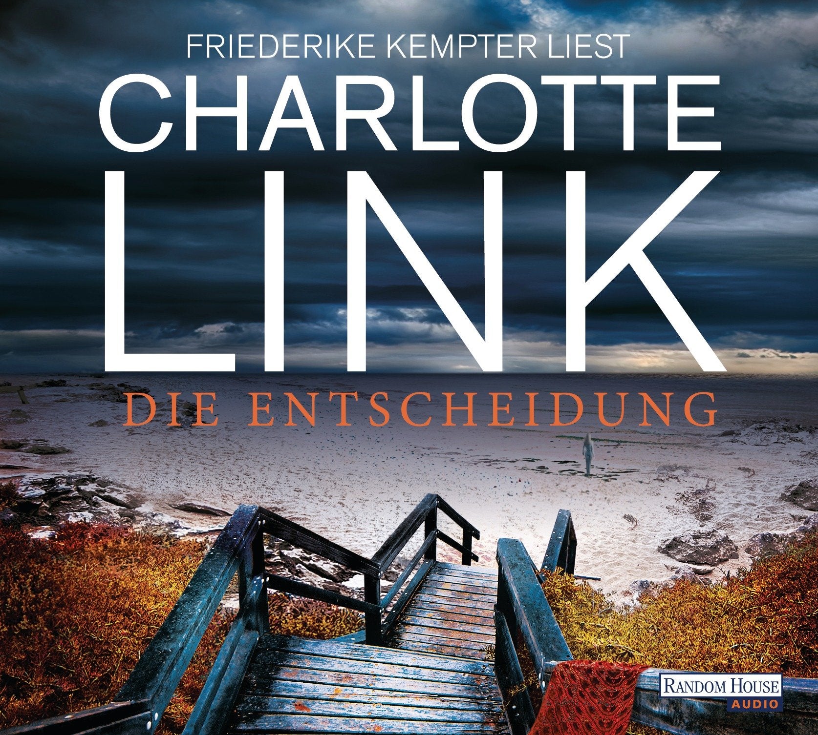 Die Entscheidung Contemporary literature Books