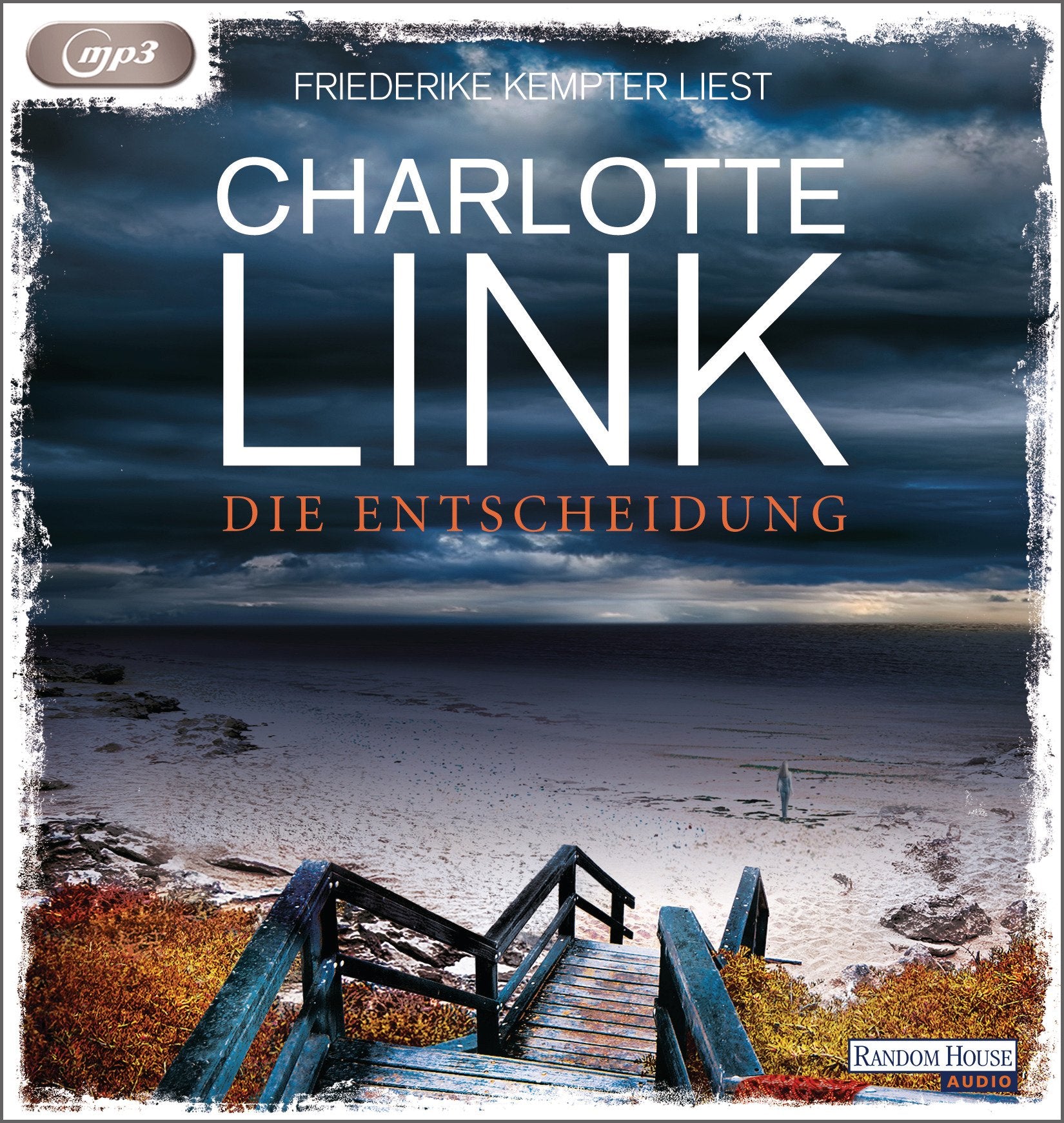 Die Entscheidung Contemporary literature Books