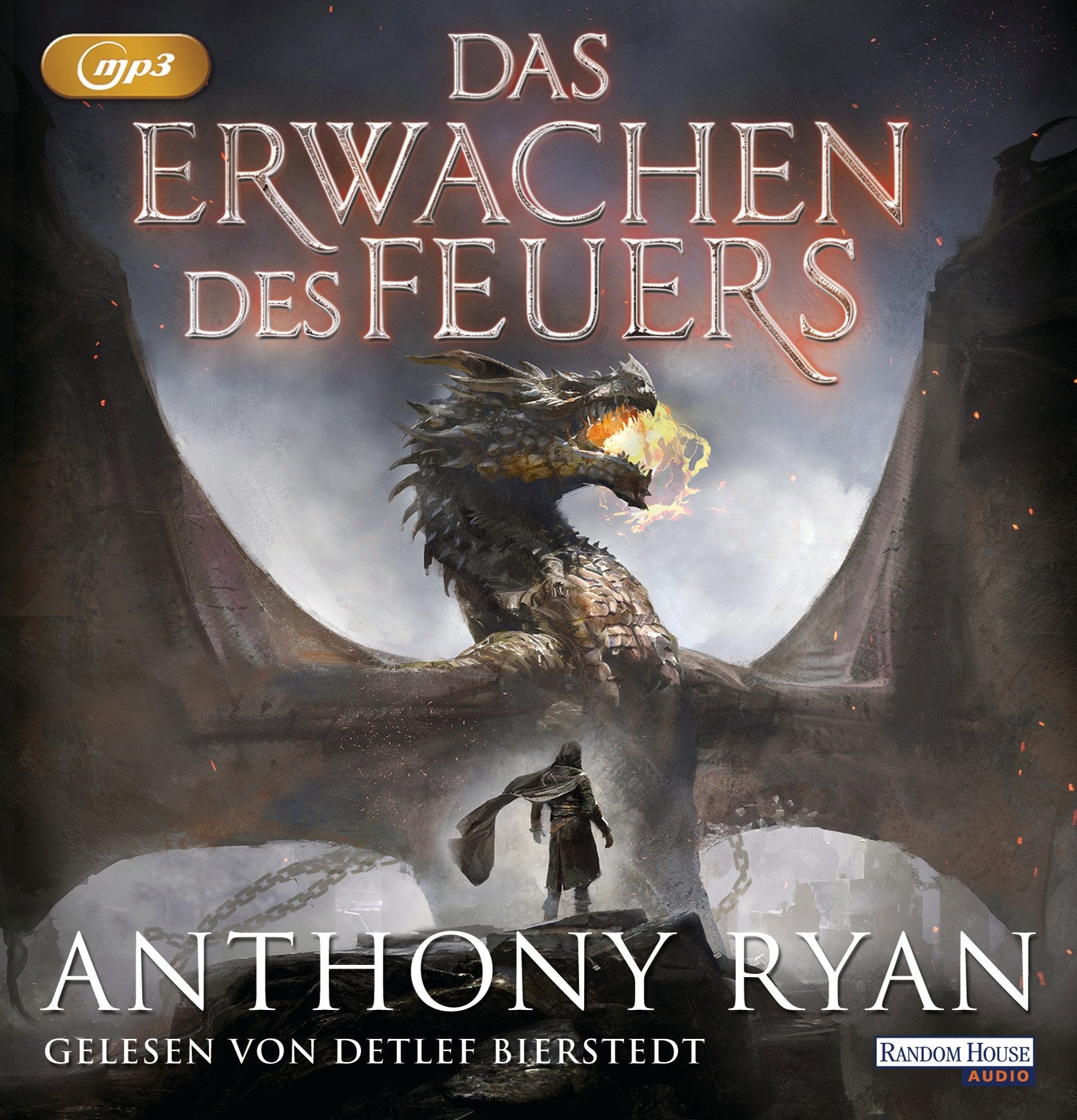 Das Erwachen des Feuers Contemporary literature Books