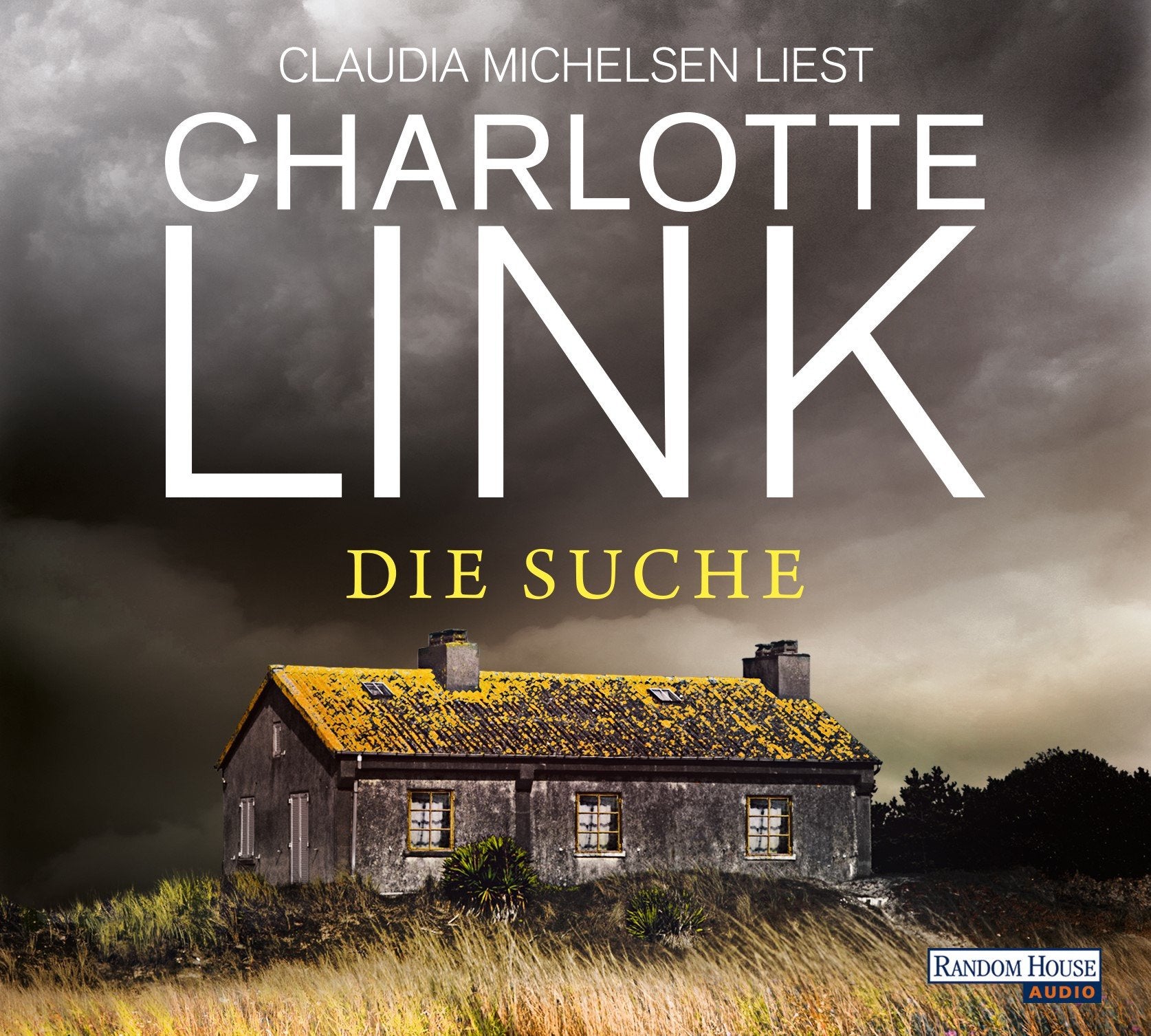 Die Suche Contemporary literature Books