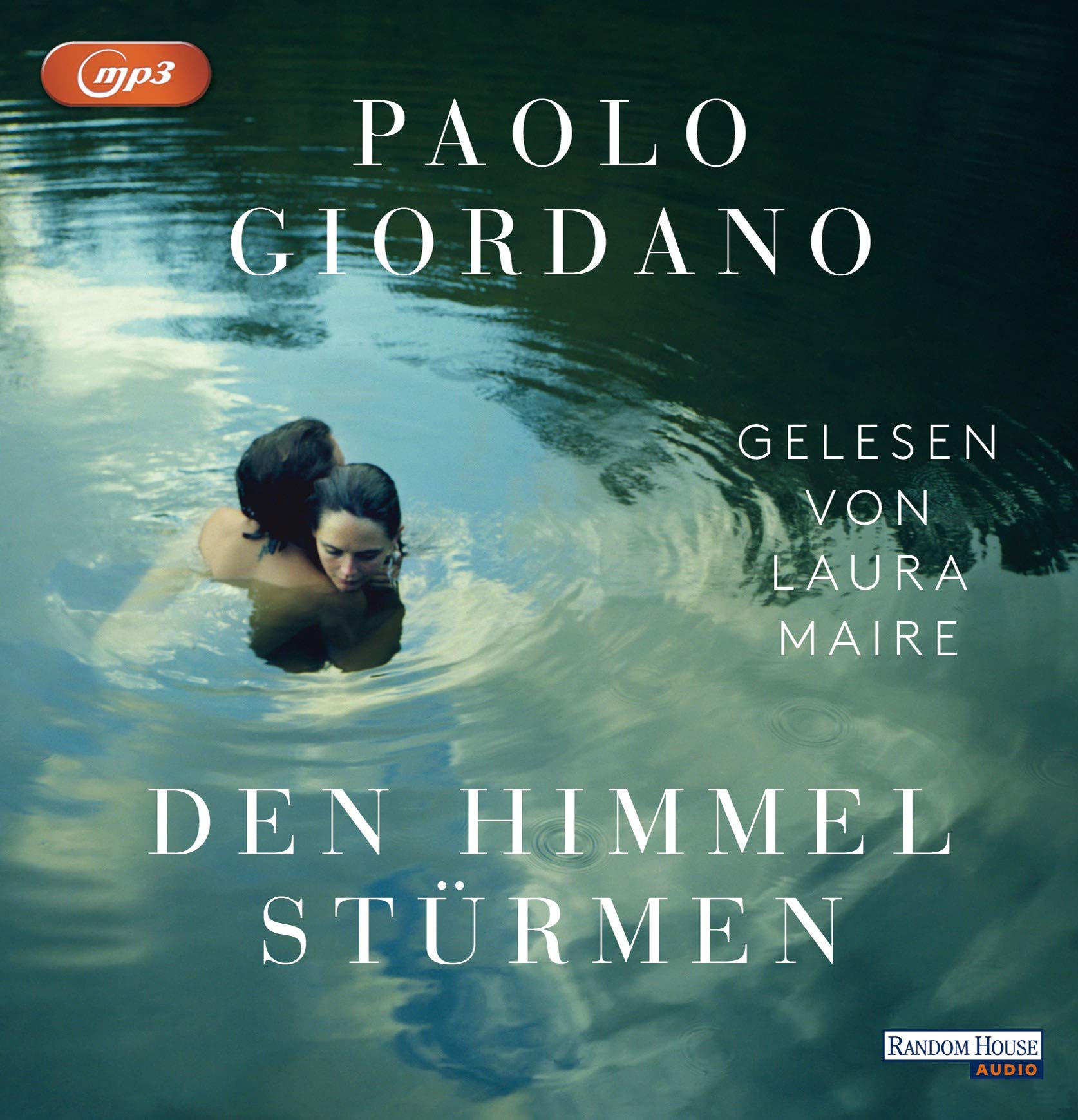 Den Himmel stürmen Contemporary literature