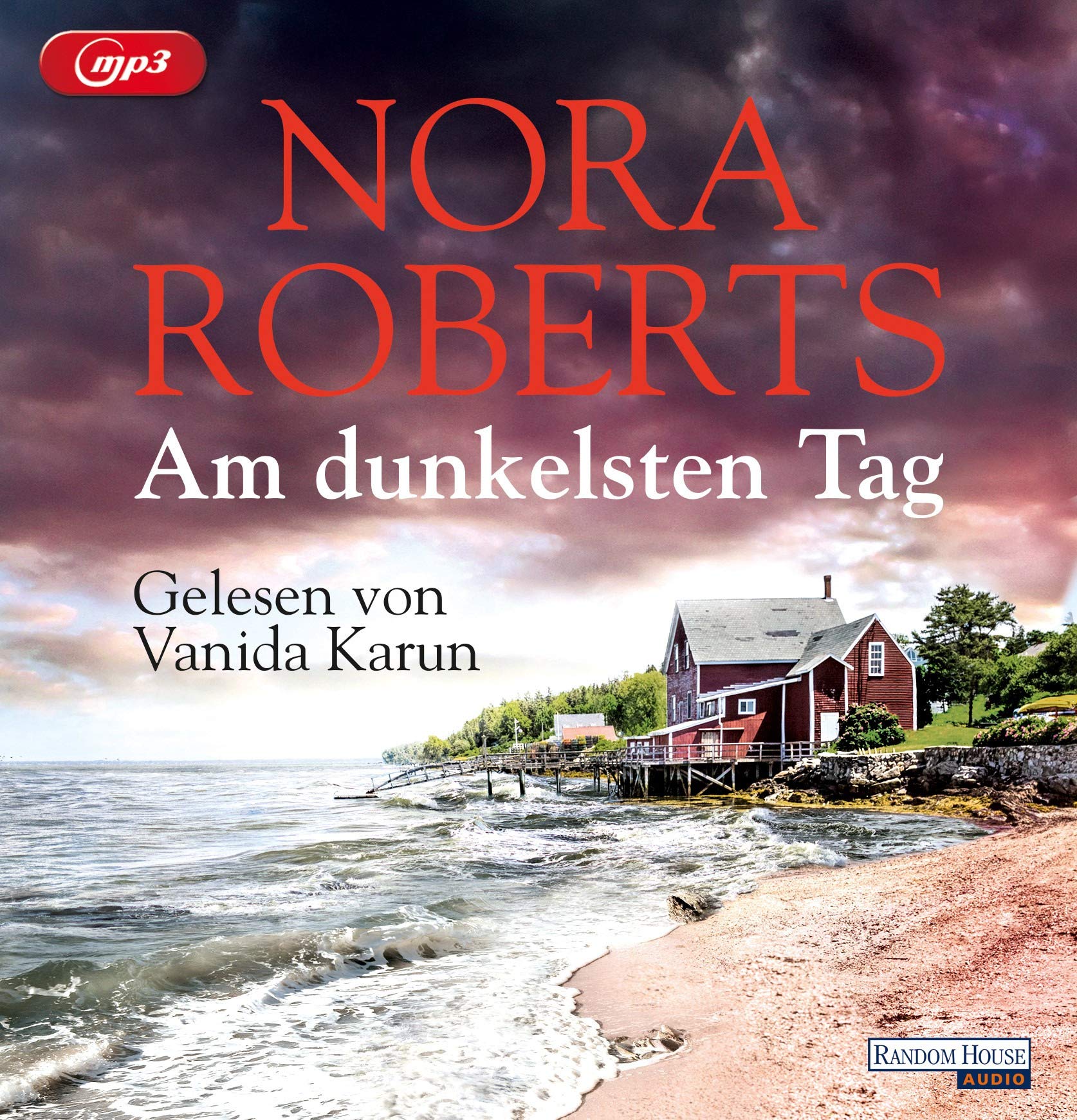 Product Image: Am dunkelsten Tag