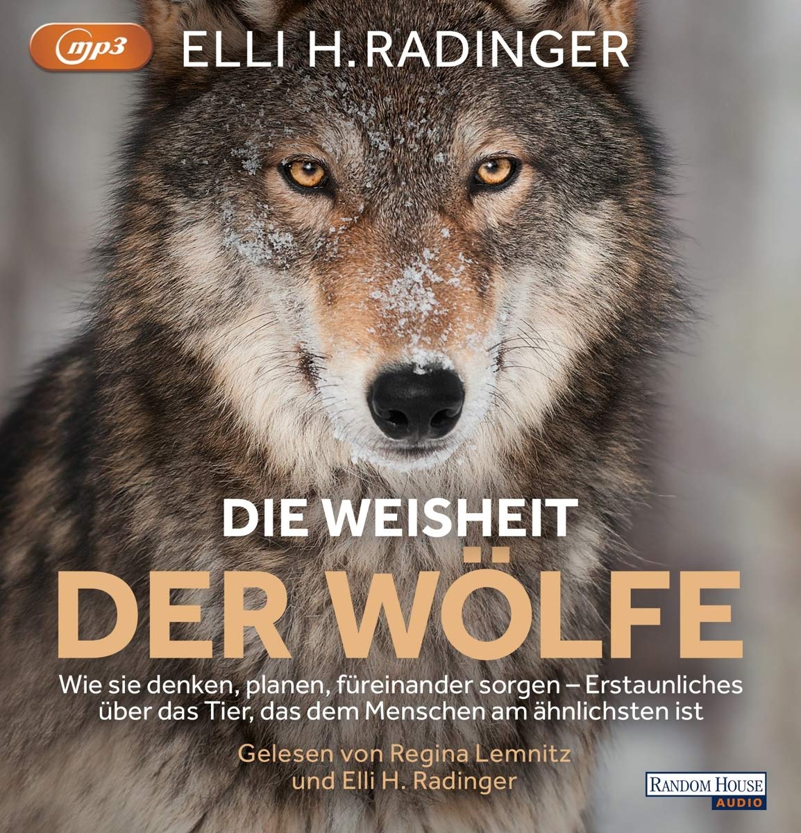Die Weisheit der Wölfe: Wie sie denken, planen, füreinander sorgen. Erstaunliches über das Tier, das dem Menschen am ähnlichsten ist Leisure, Home & Garden