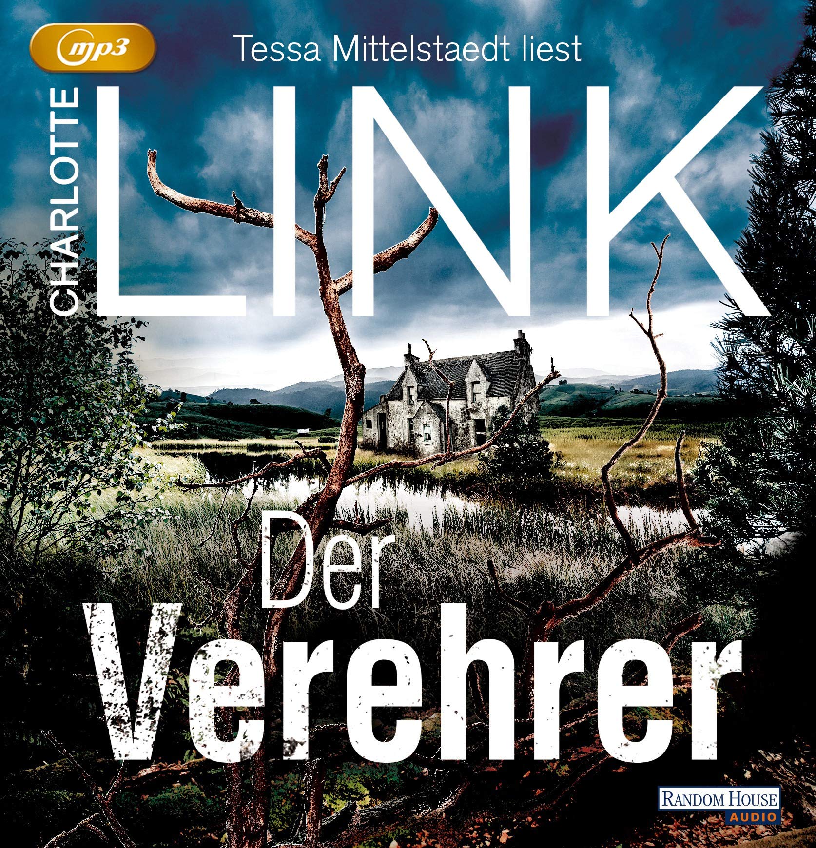 Der Verehrer Contemporary literature Books