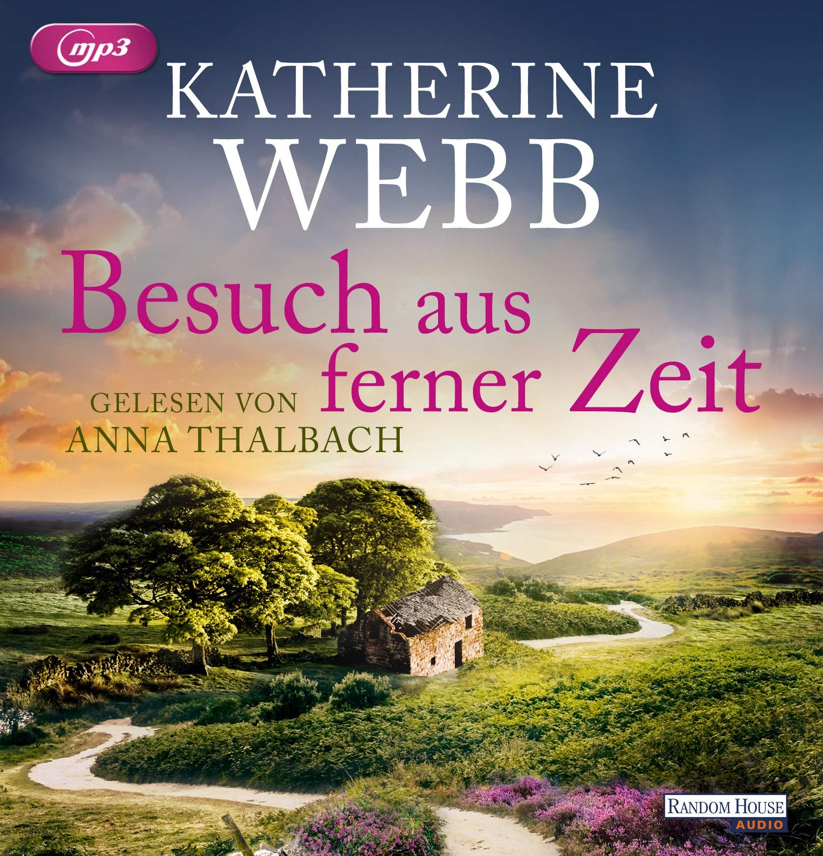 Besuch aus ferner Zeit Contemporary literature Books