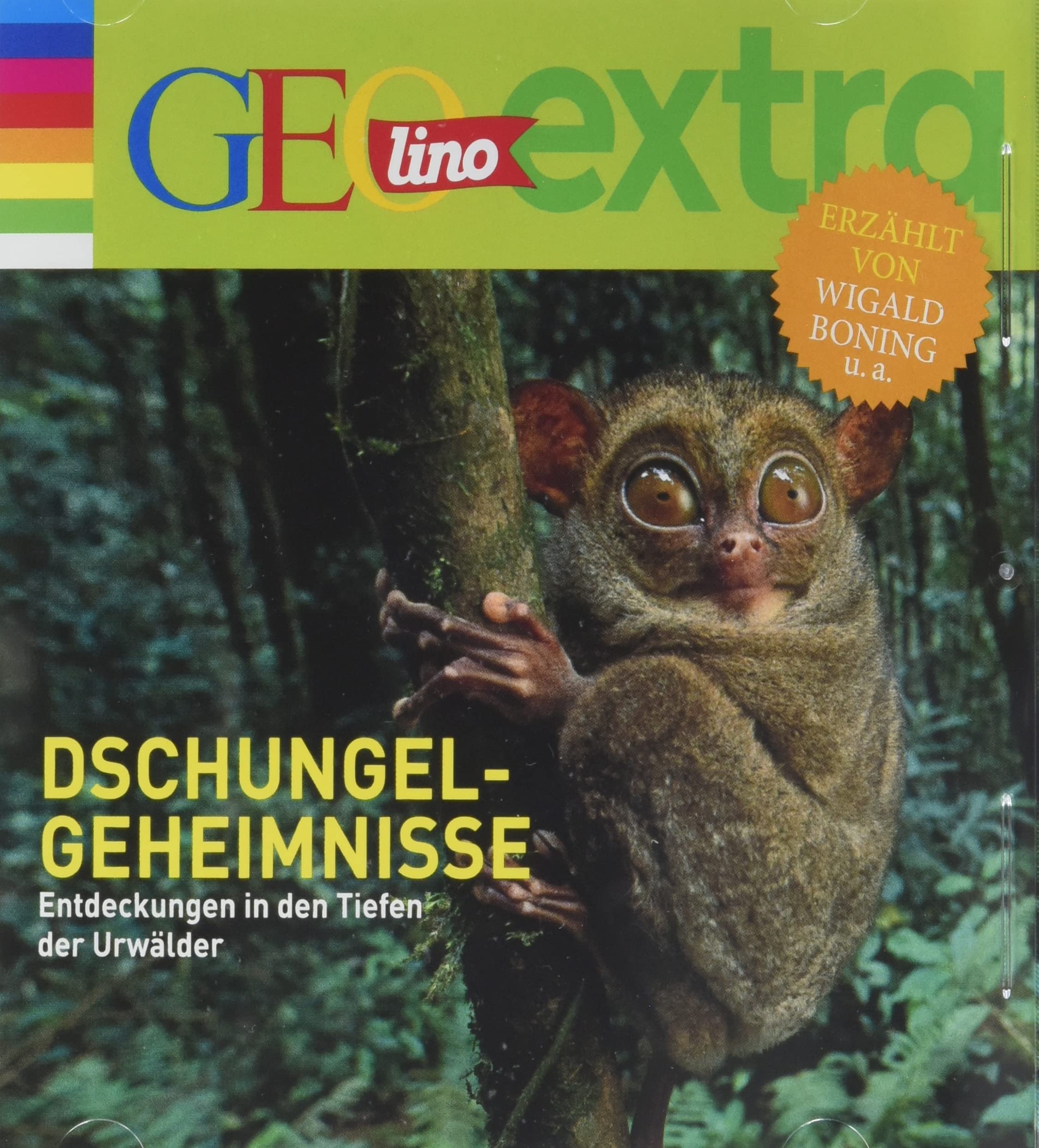 Dschungel-Geheimnisse-Entdeckungen in Den Tief Music