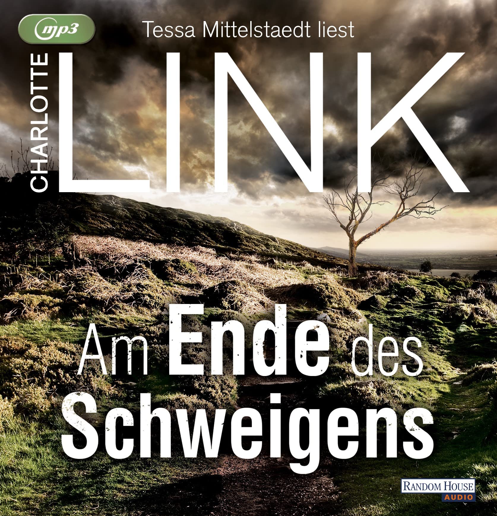 Product Image: Am Ende des Schweigens