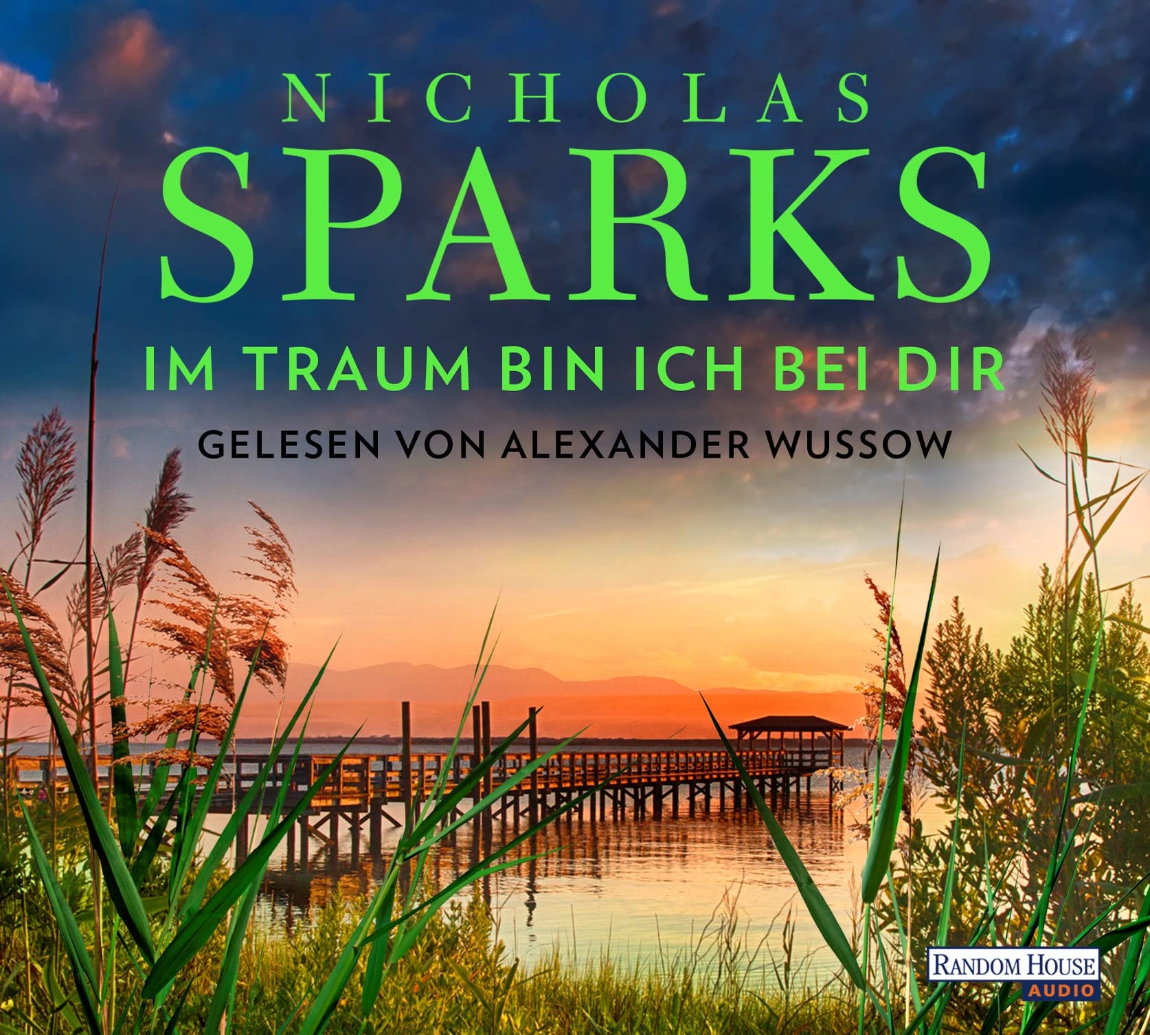 Im Traum bin ich bei dir Contemporary literature Books